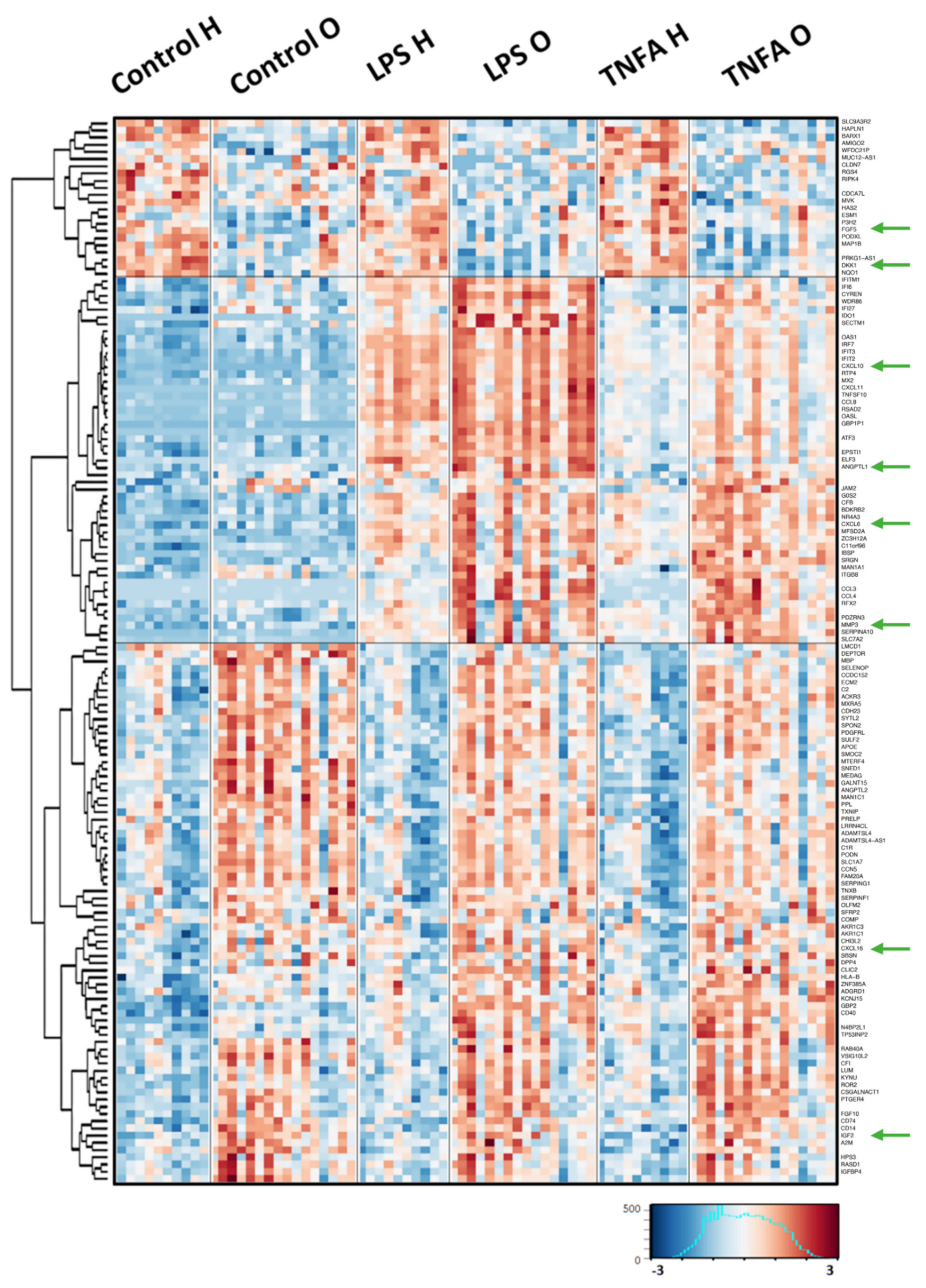 Ijms 23 11817 g001 Ijms 23 11817 g001