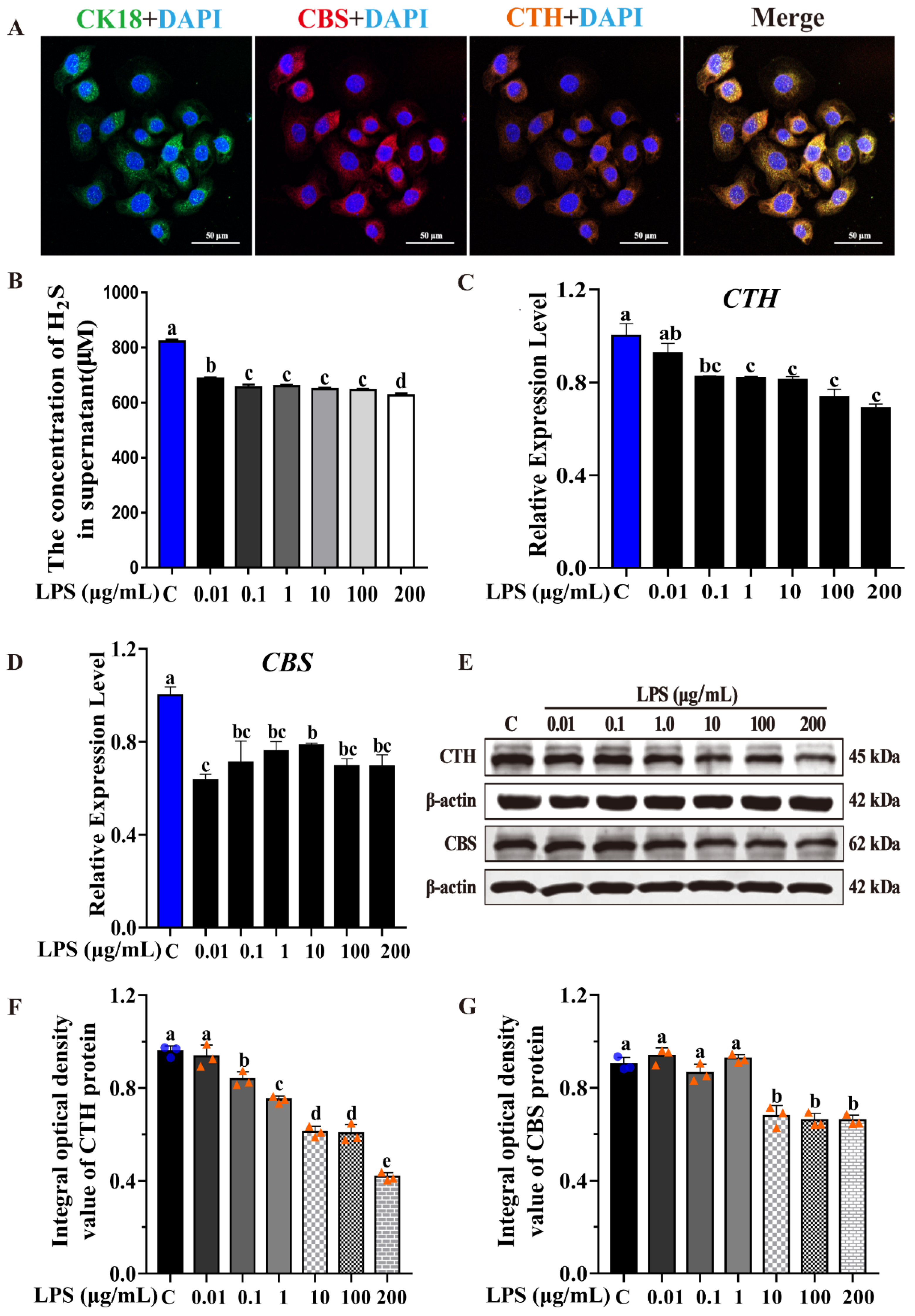 Ijms 23 11822 g002 Ijms 23 11822 g002