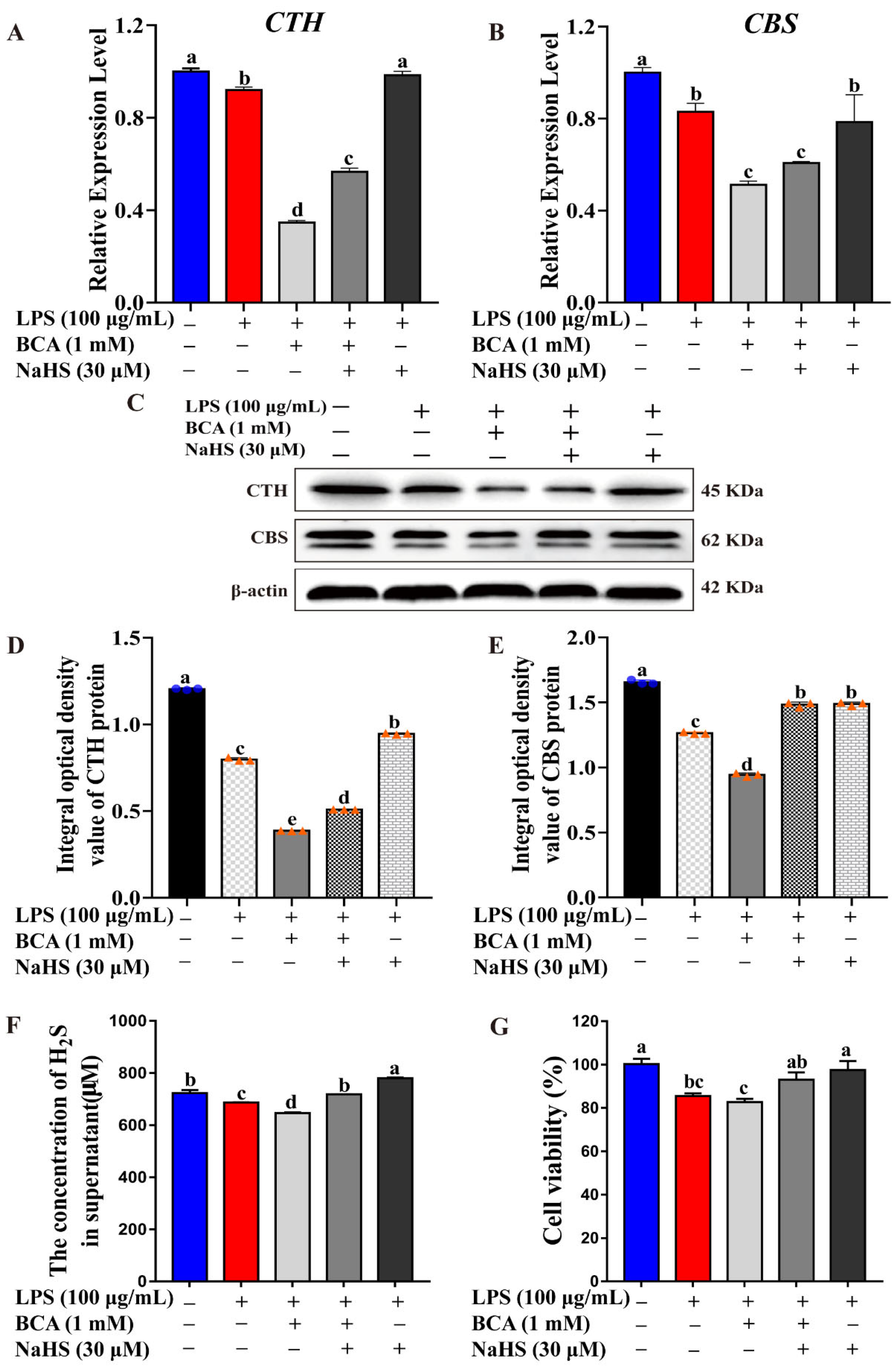 Ijms 23 11822 g003 Ijms 23 11822 g003