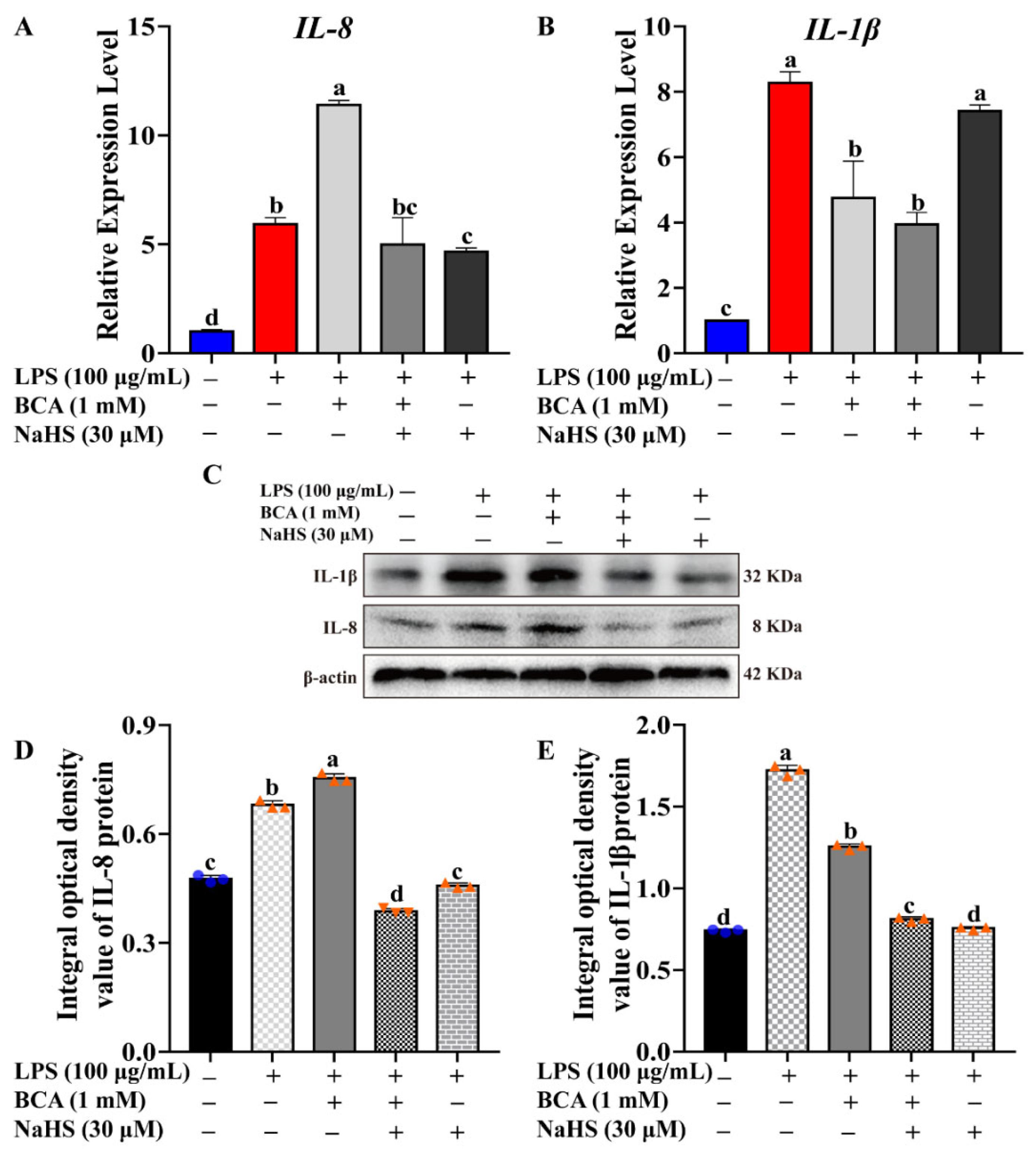 Ijms 23 11822 g004 Ijms 23 11822 g004