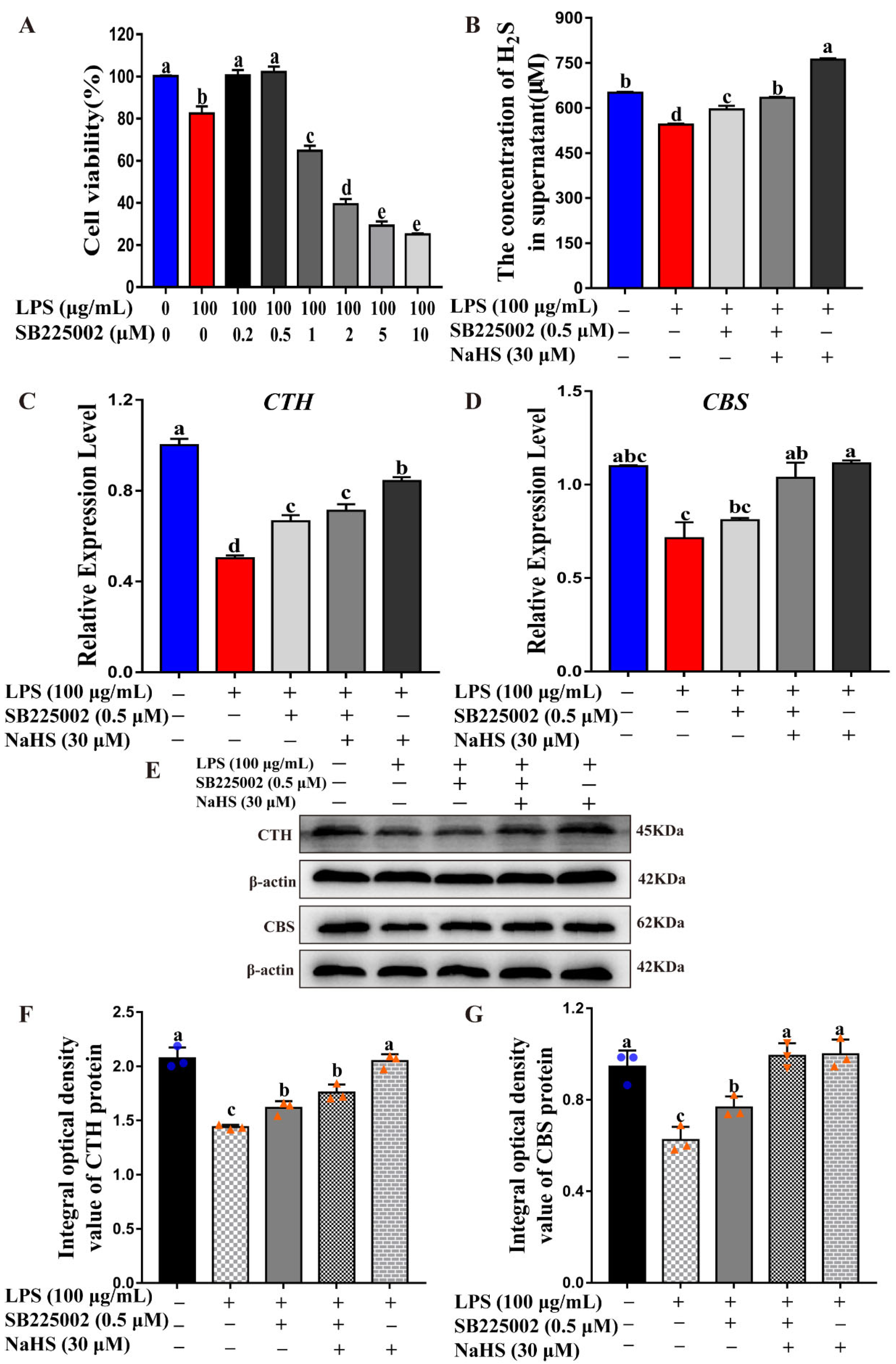 Ijms 23 11822 g005 Ijms 23 11822 g005