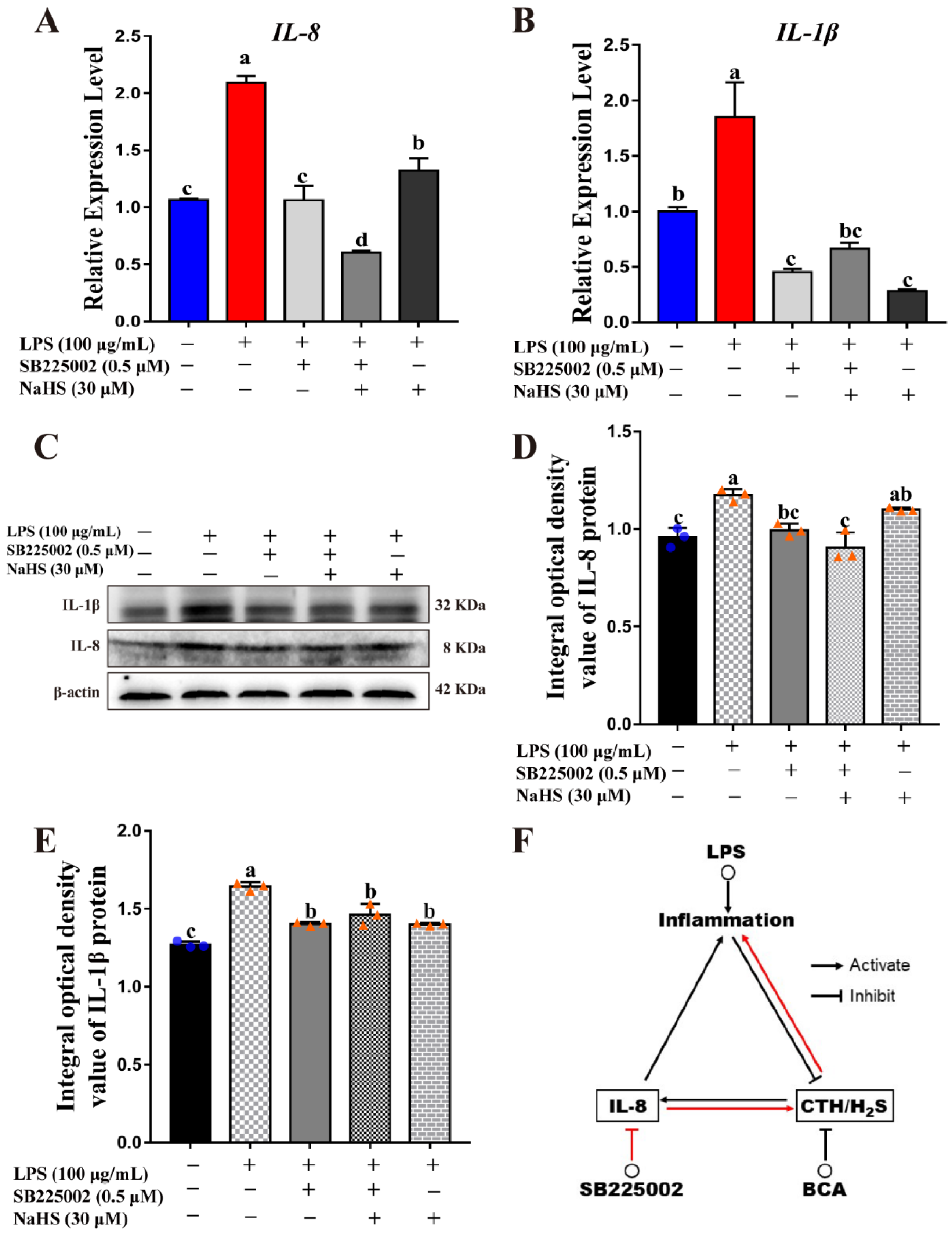 Ijms 23 11822 g006 Ijms 23 11822 g006