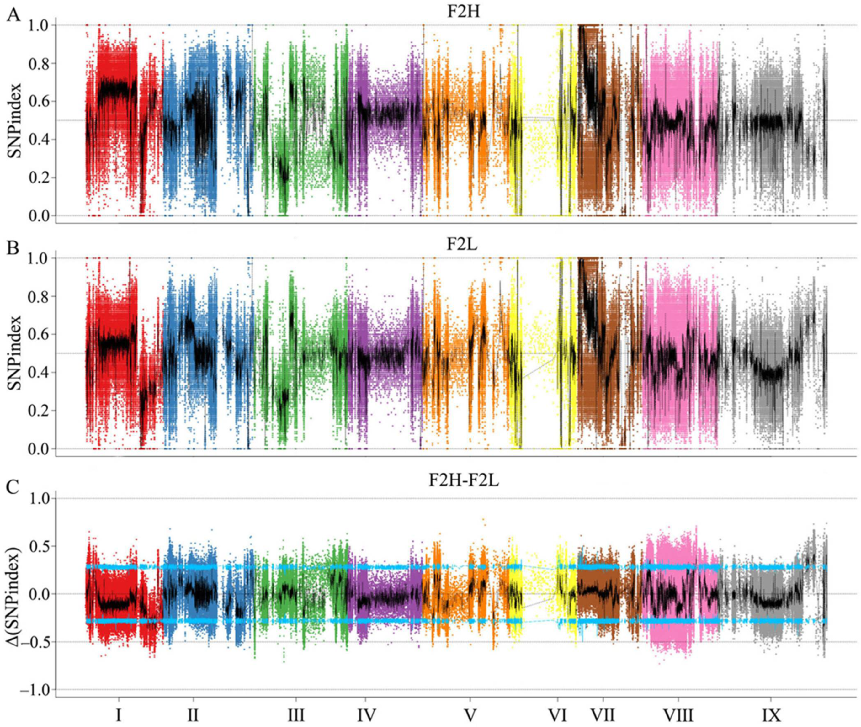 Ijms 23 11824 g002 Ijms 23 11824 g002