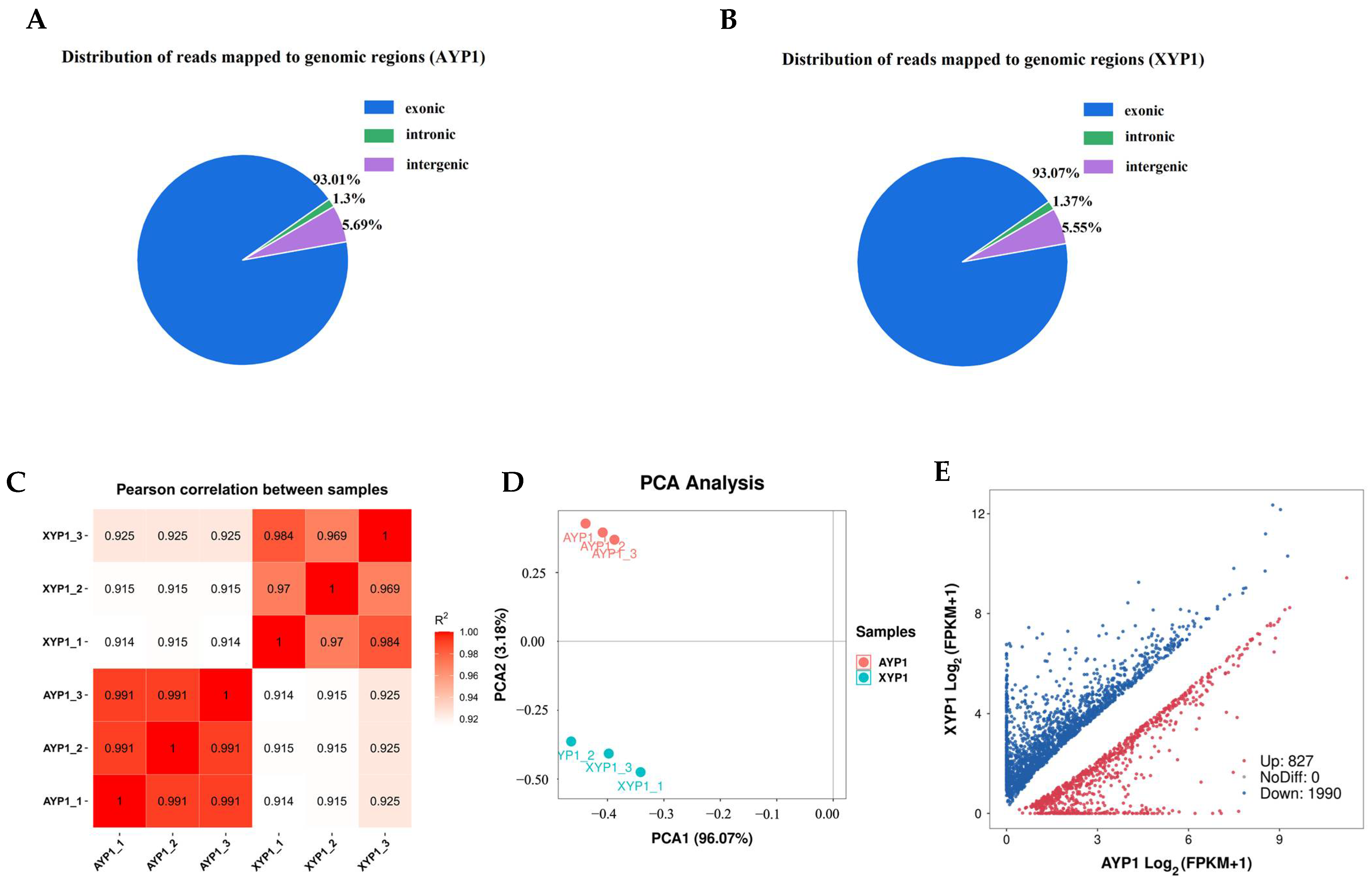 Ijms 23 11824 g003 Ijms 23 11824 g003