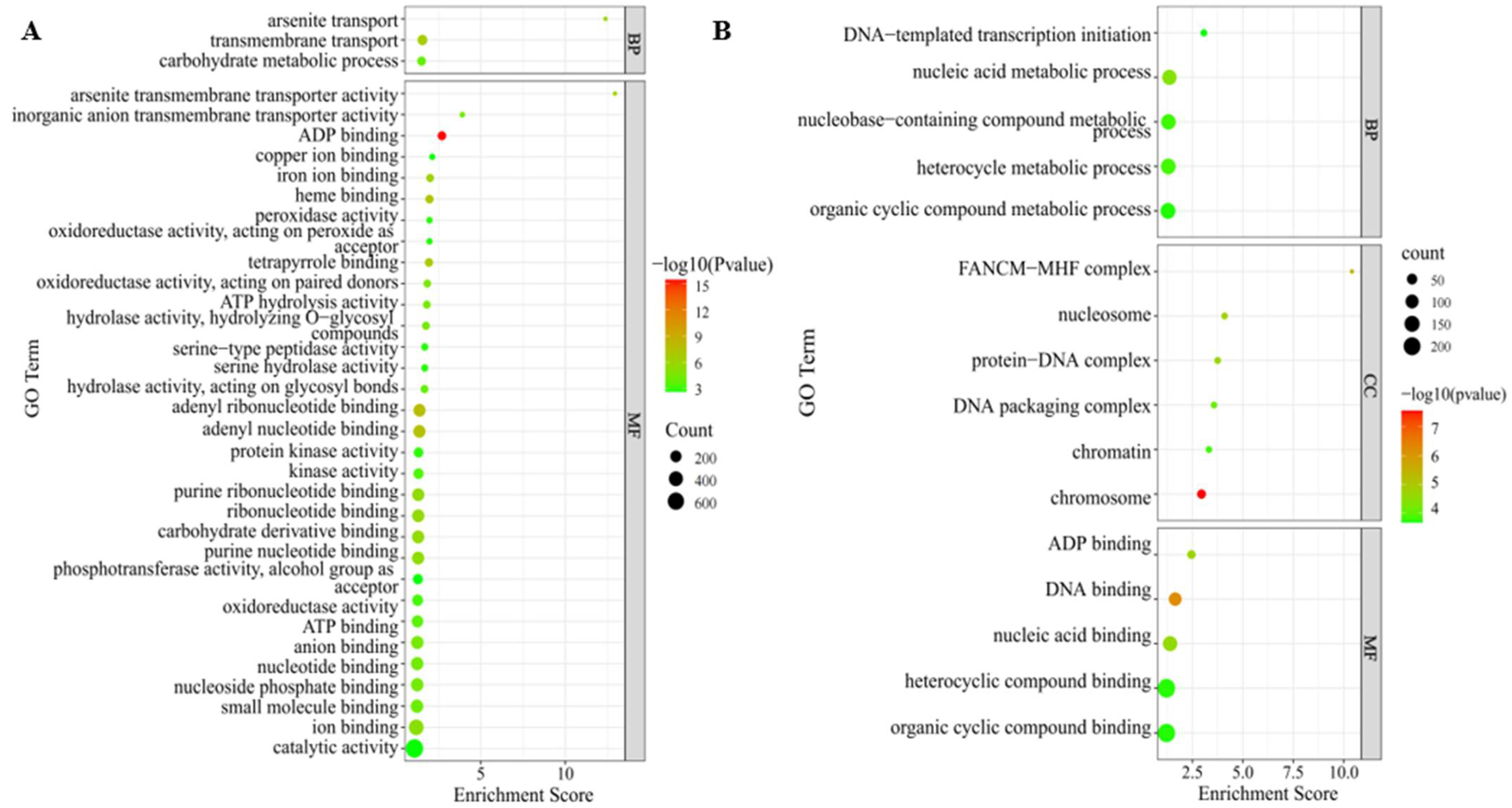 Ijms 23 11824 g004 Ijms 23 11824 g004
