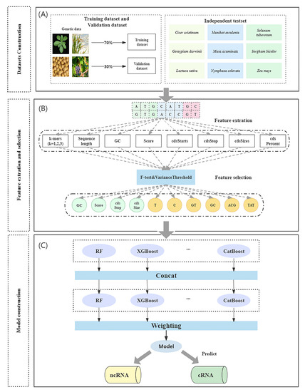 PINC: A Tool for Non-Coding RNA Identification in Plants Based on an ...