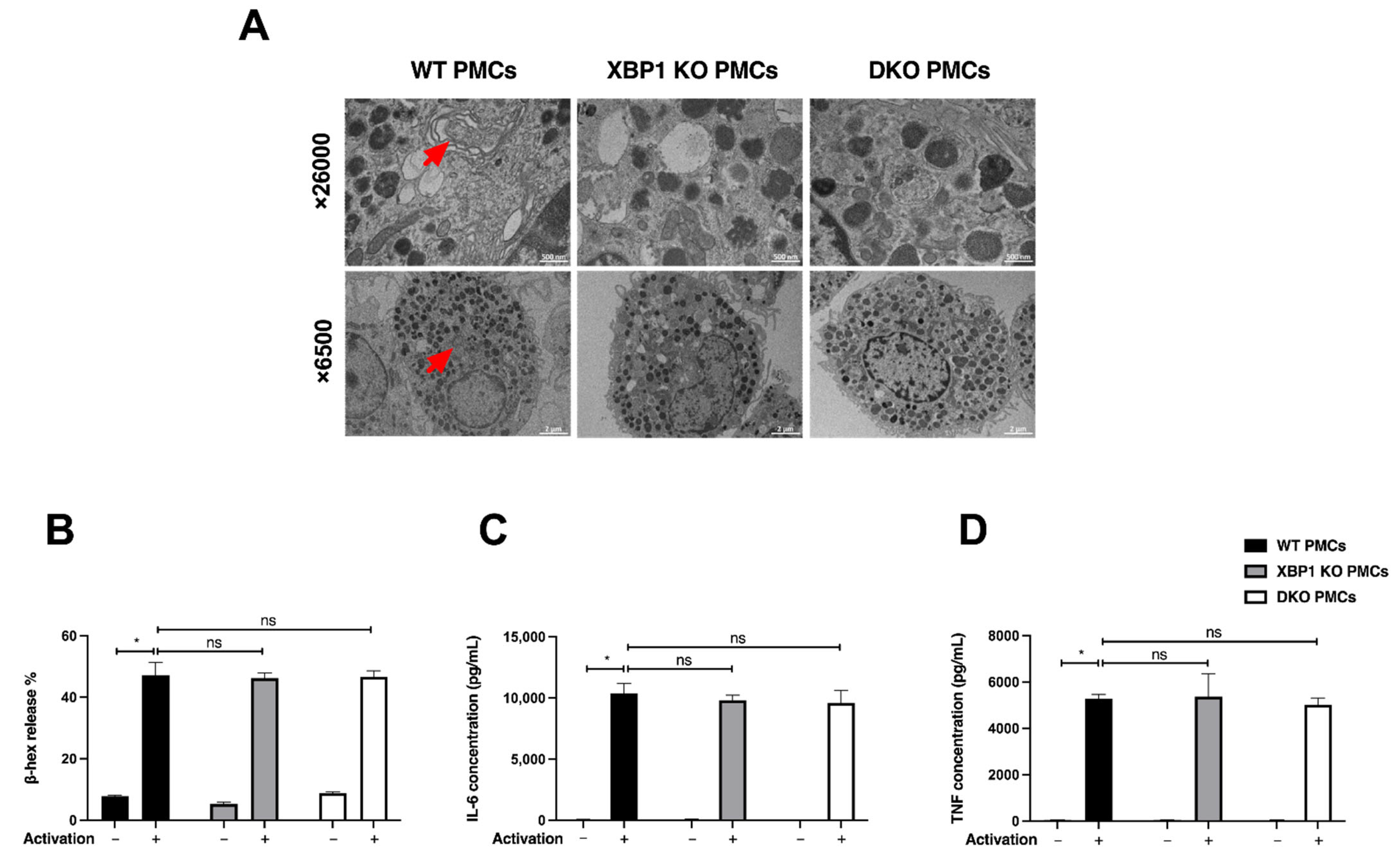 Ijms 23 11826 g004 Ijms 23 11826 g004