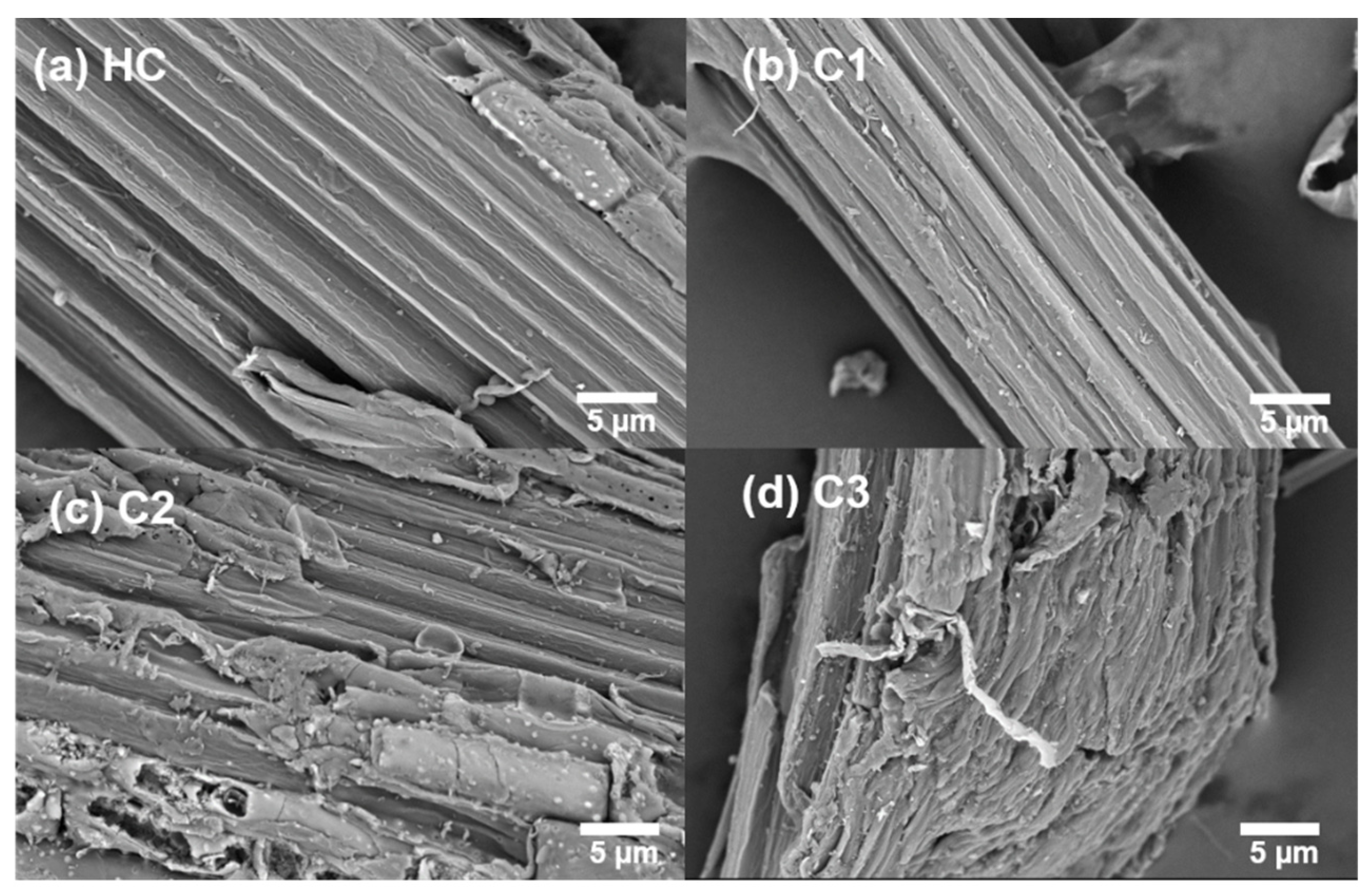 Ijms 23 11829 g001 Ijms 23 11829 g001