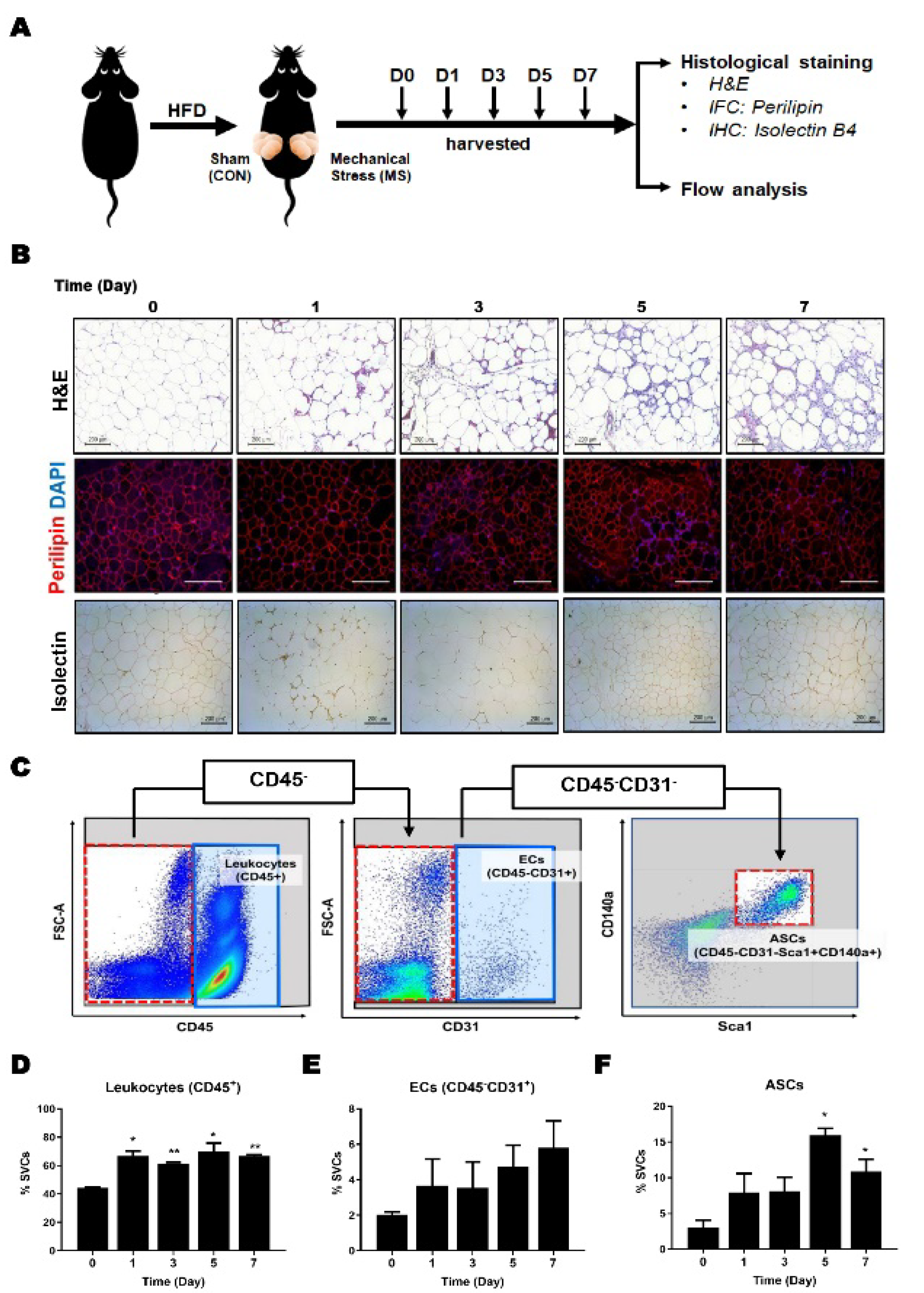 Ijms 23 11839 g001 Ijms 23 11839 g001