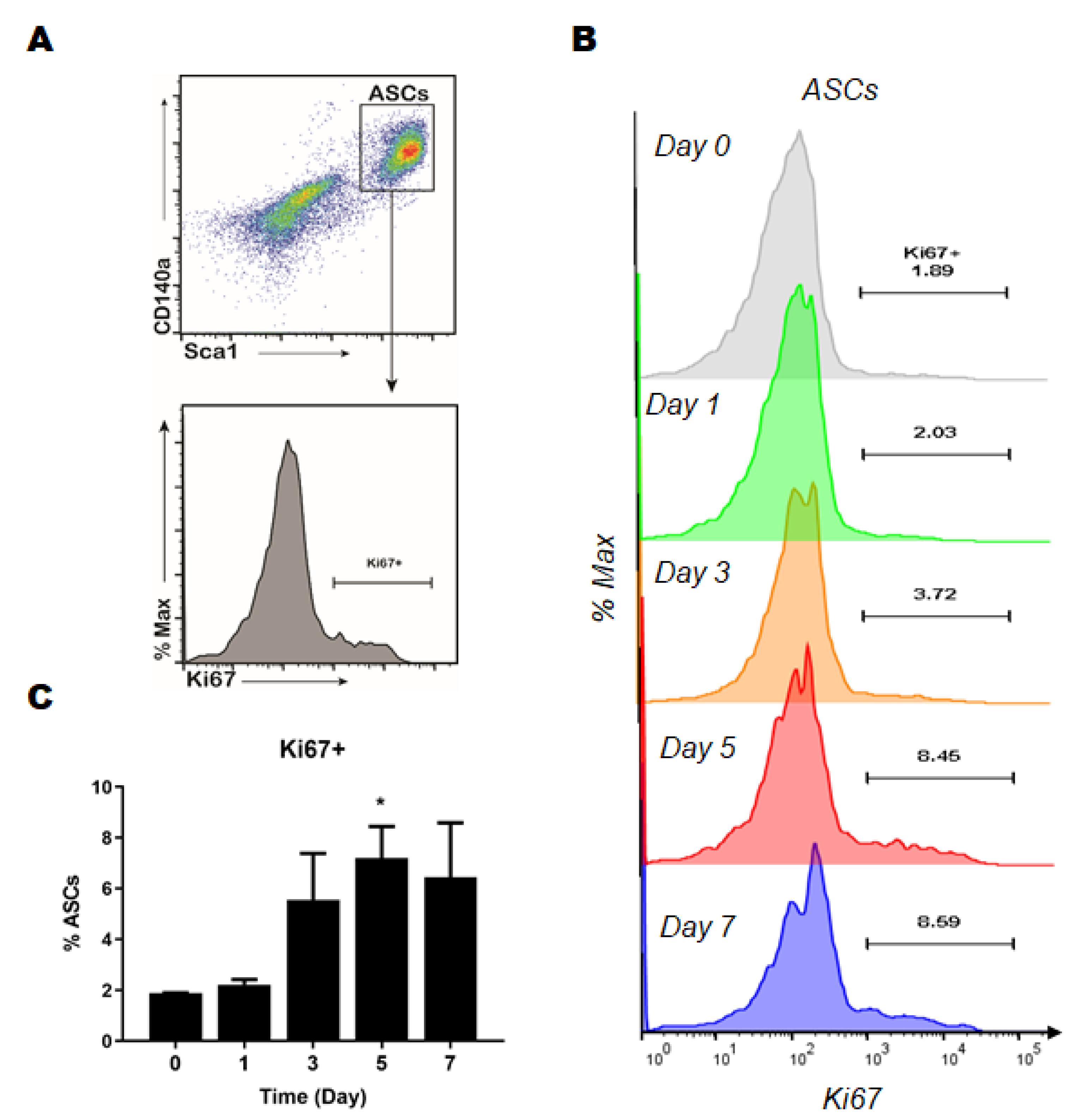 Ijms 23 11839 g002 Ijms 23 11839 g002