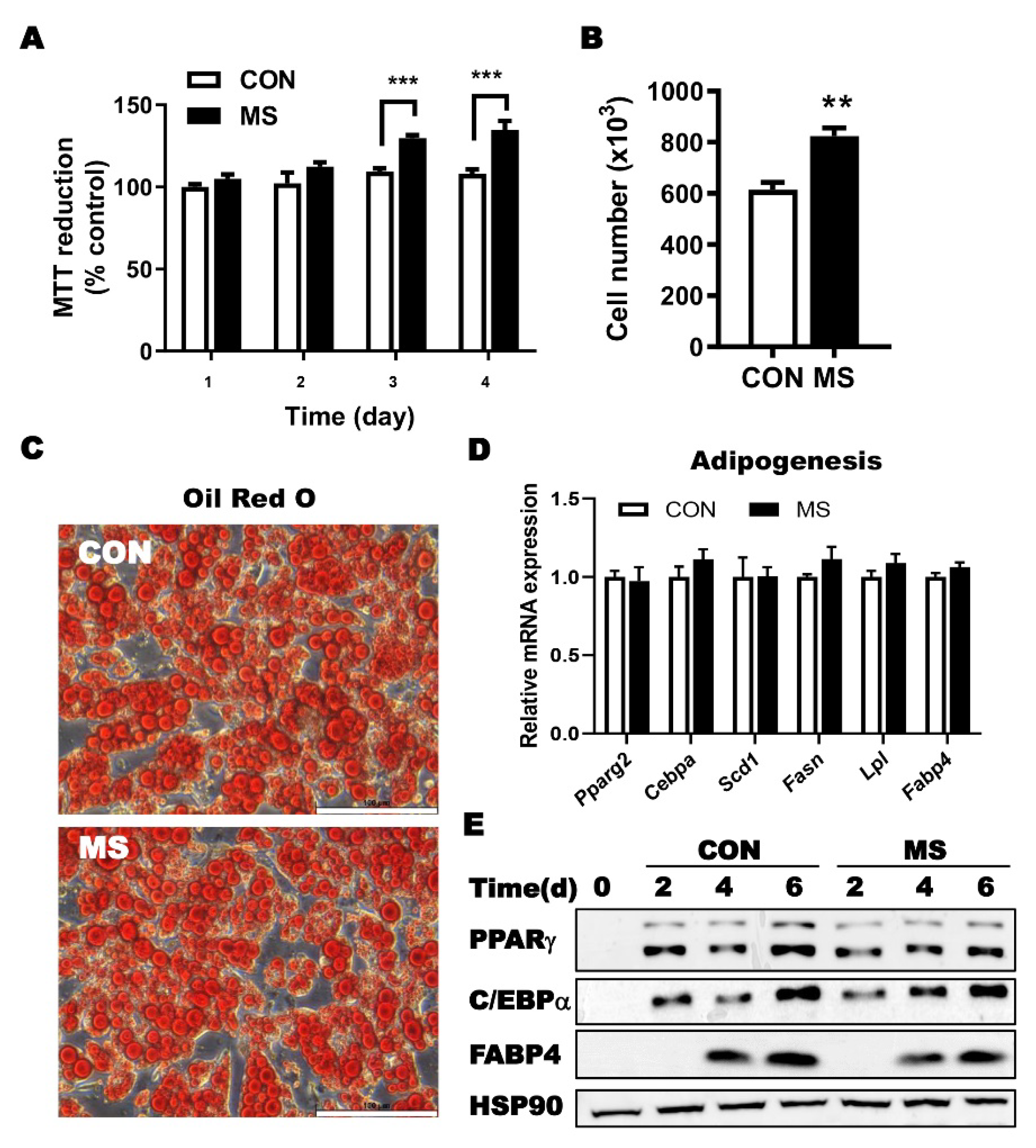 Ijms 23 11839 g003 Ijms 23 11839 g003