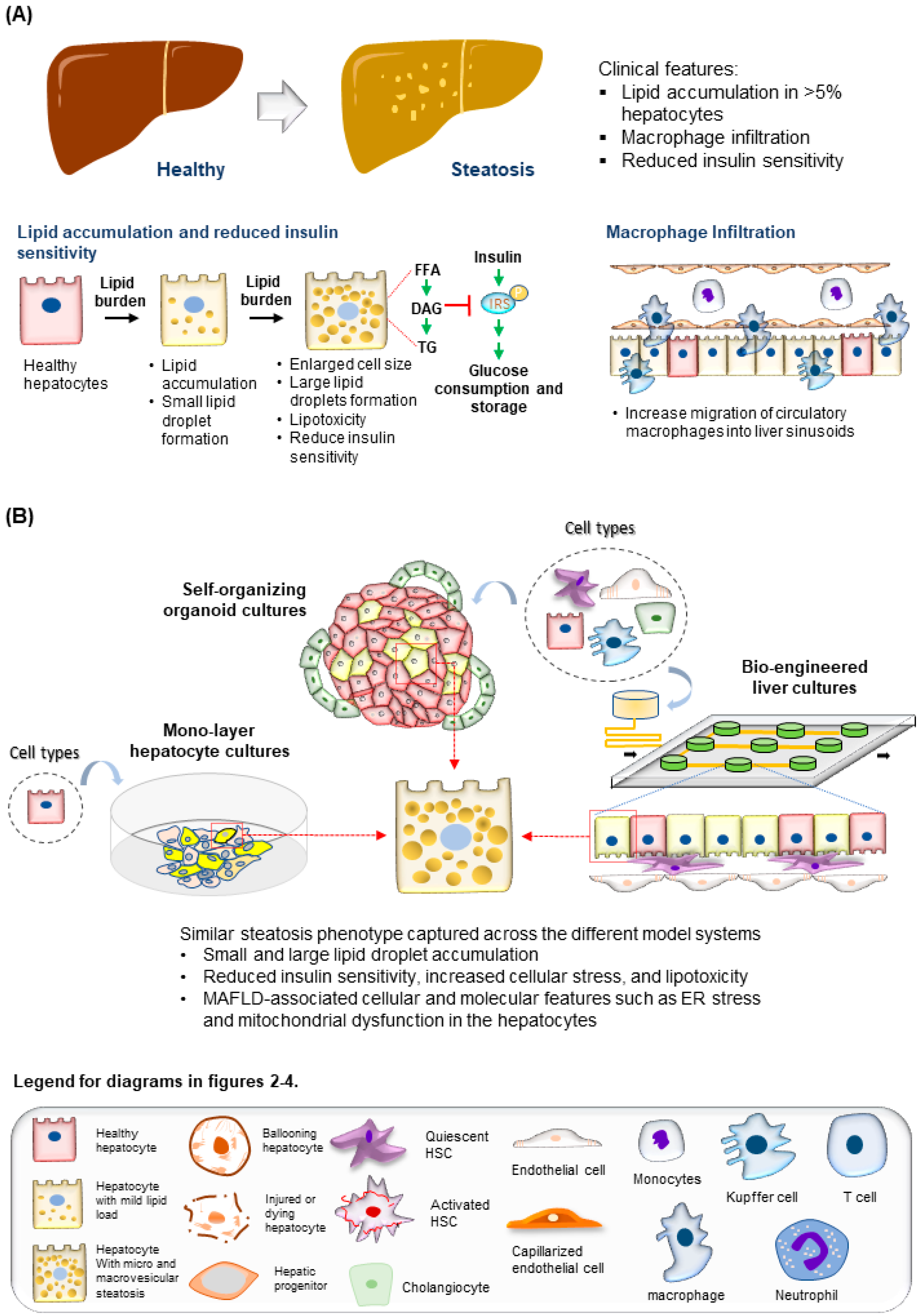Ijms 23 11850 g002 Ijms 23 11850 g002