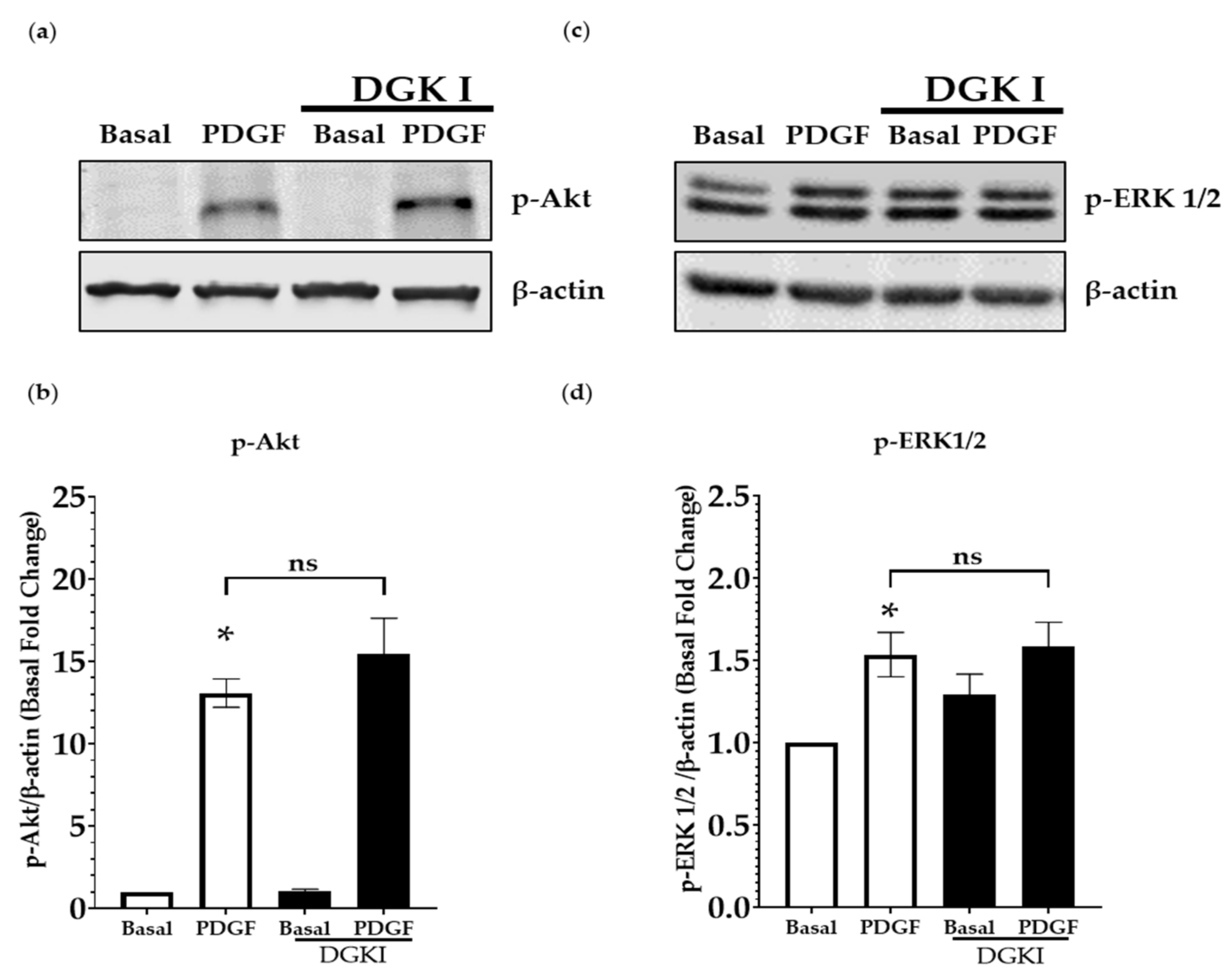 Ijms 23 11868 g003 Ijms 23 11868 g003