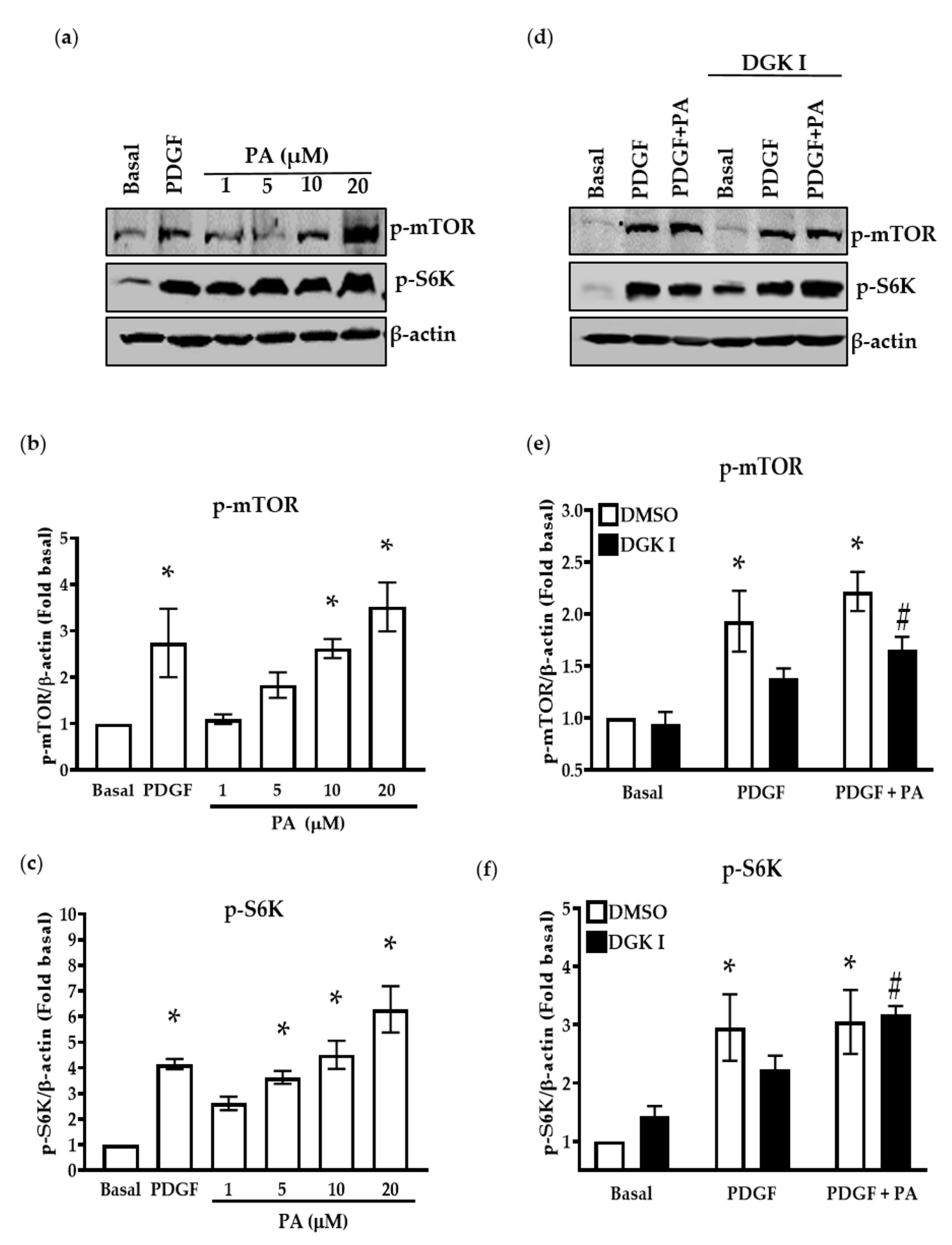 Ijms 23 11868 g004 Ijms 23 11868 g004