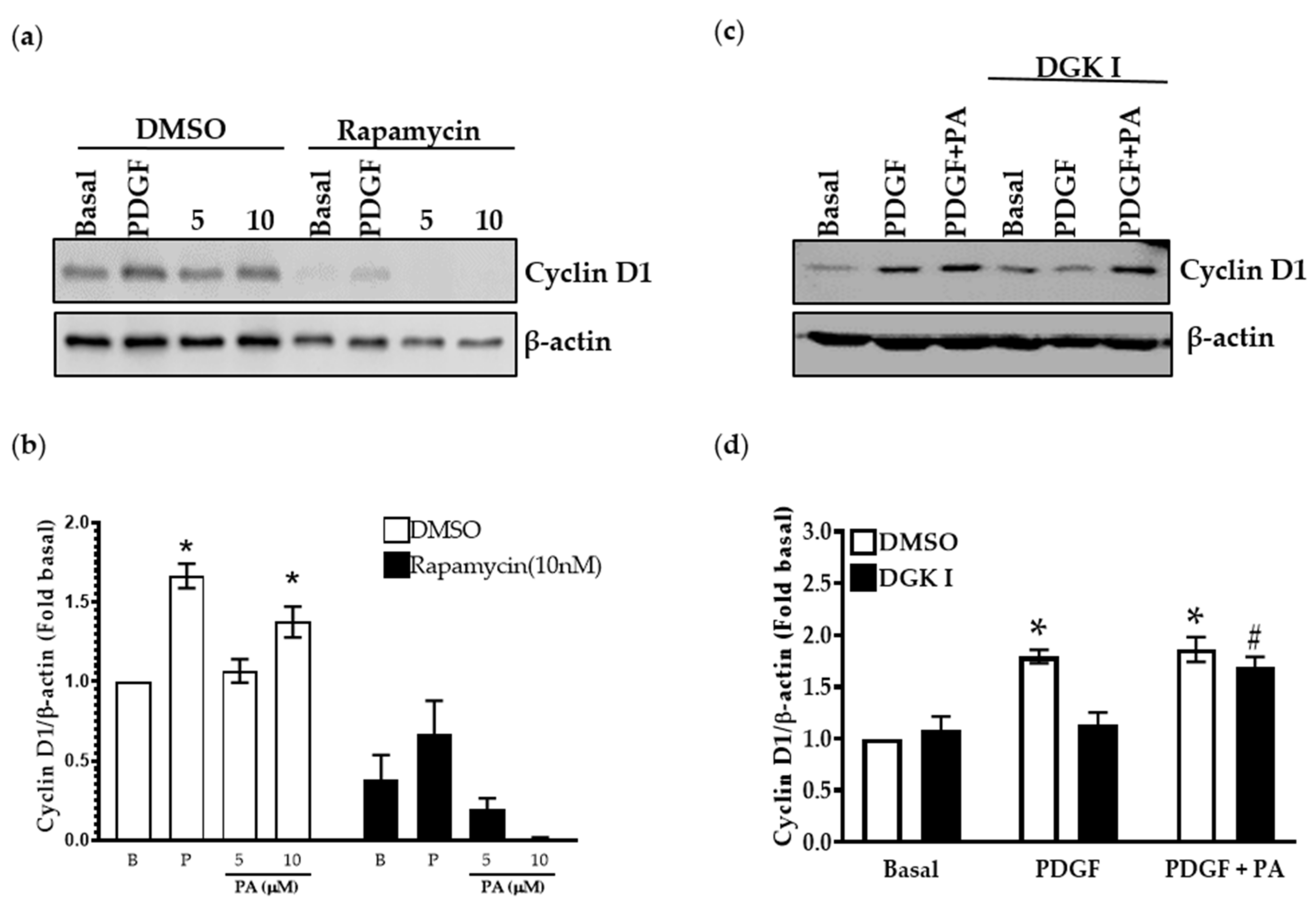 Ijms 23 11868 g008 Ijms 23 11868 g008
