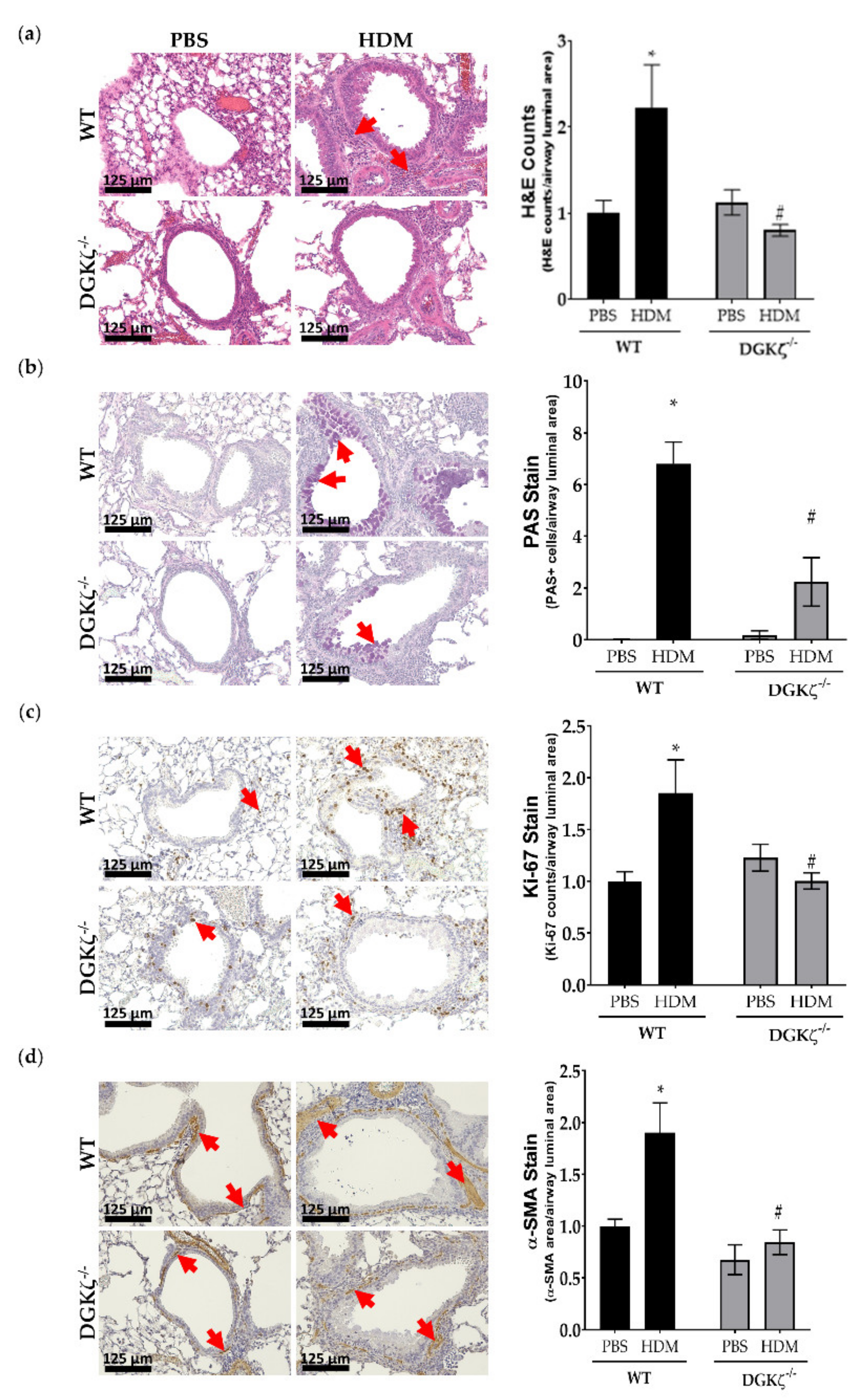 Ijms 23 11868 g009 Ijms 23 11868 g009