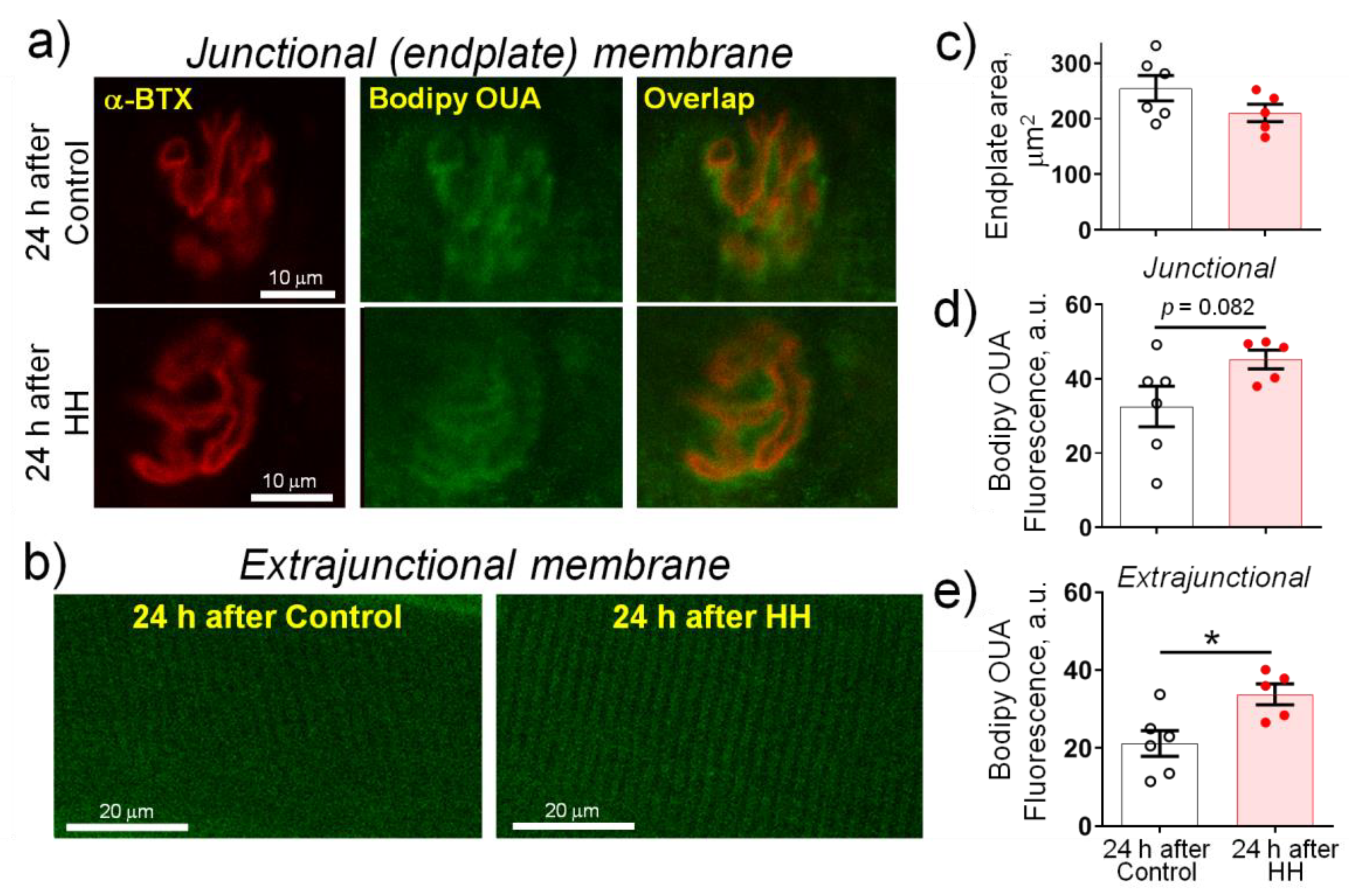Ijms 23 11869 g006 Ijms 23 11869 g006