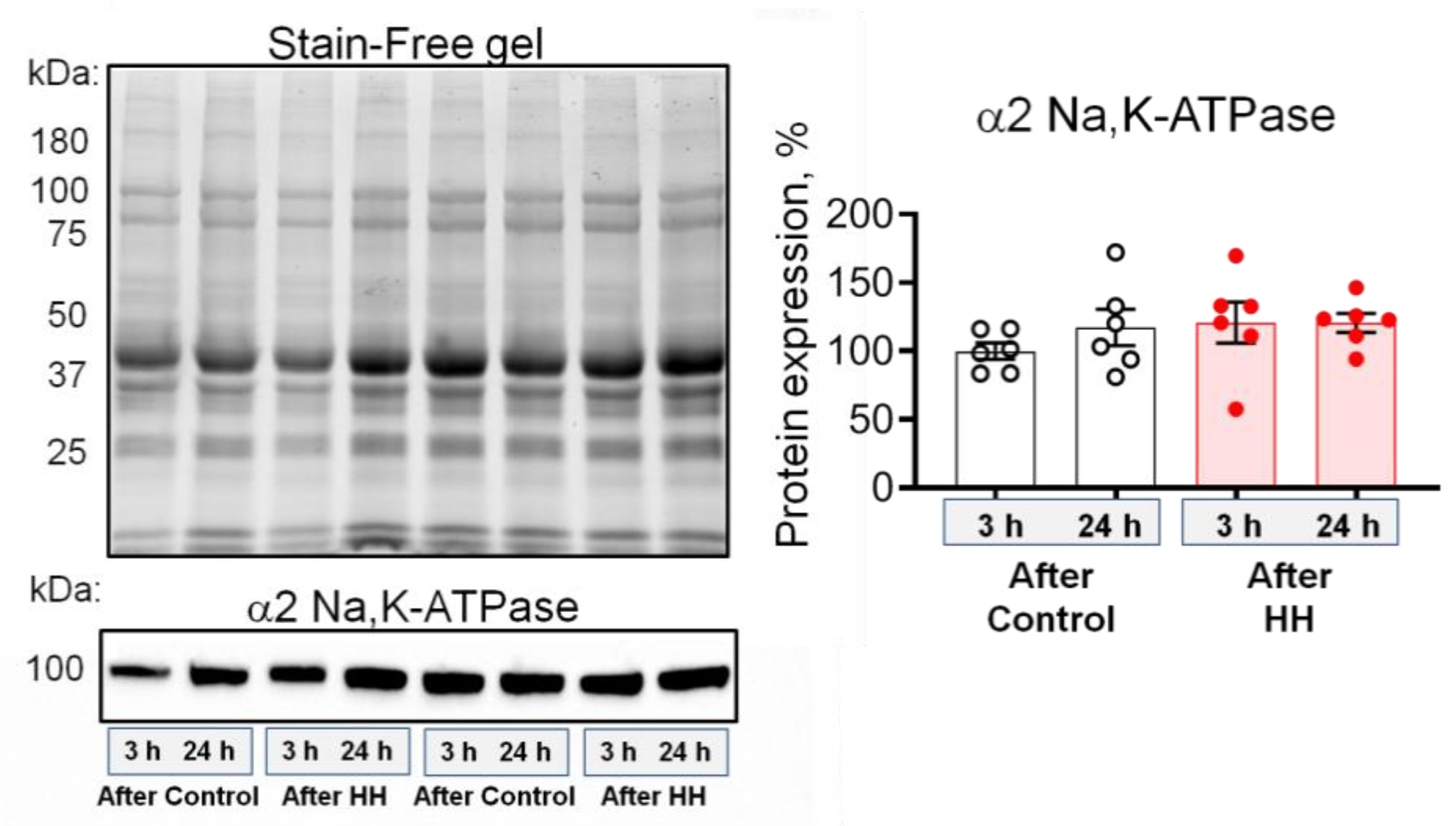 Ijms 23 11869 g007 Ijms 23 11869 g007