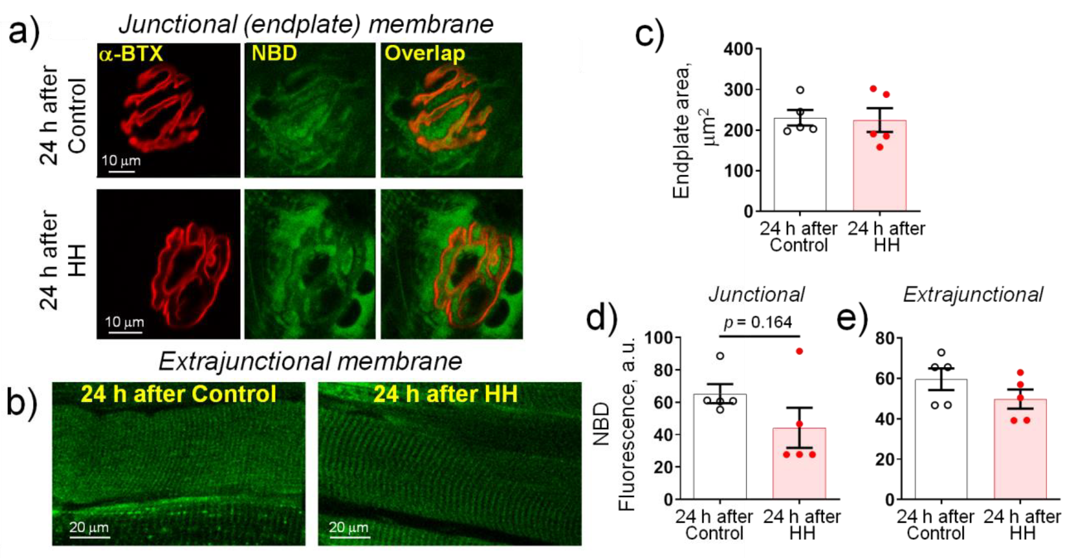 Ijms 23 11869 g008 Ijms 23 11869 g008