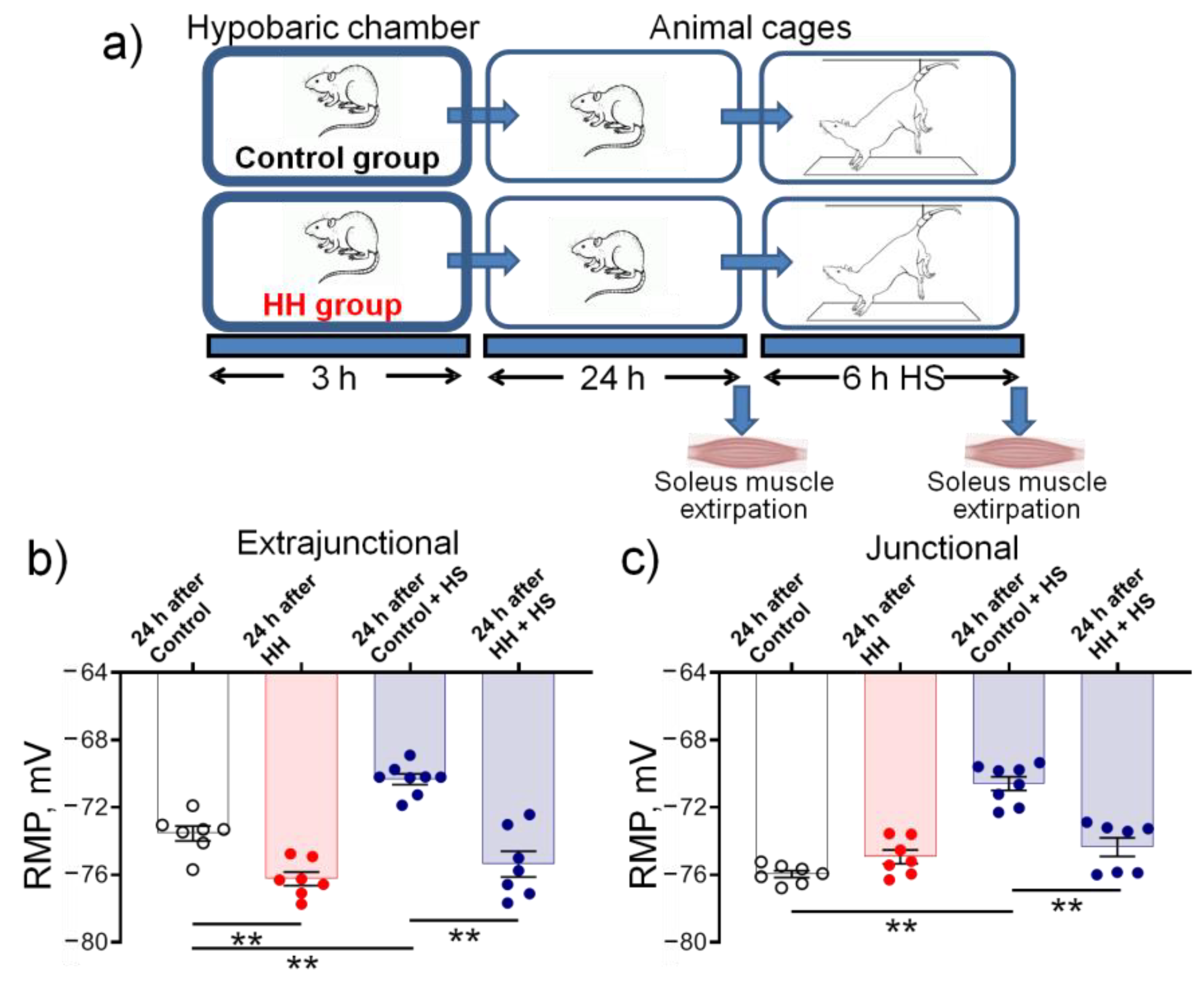 Ijms 23 11869 g009 Ijms 23 11869 g009