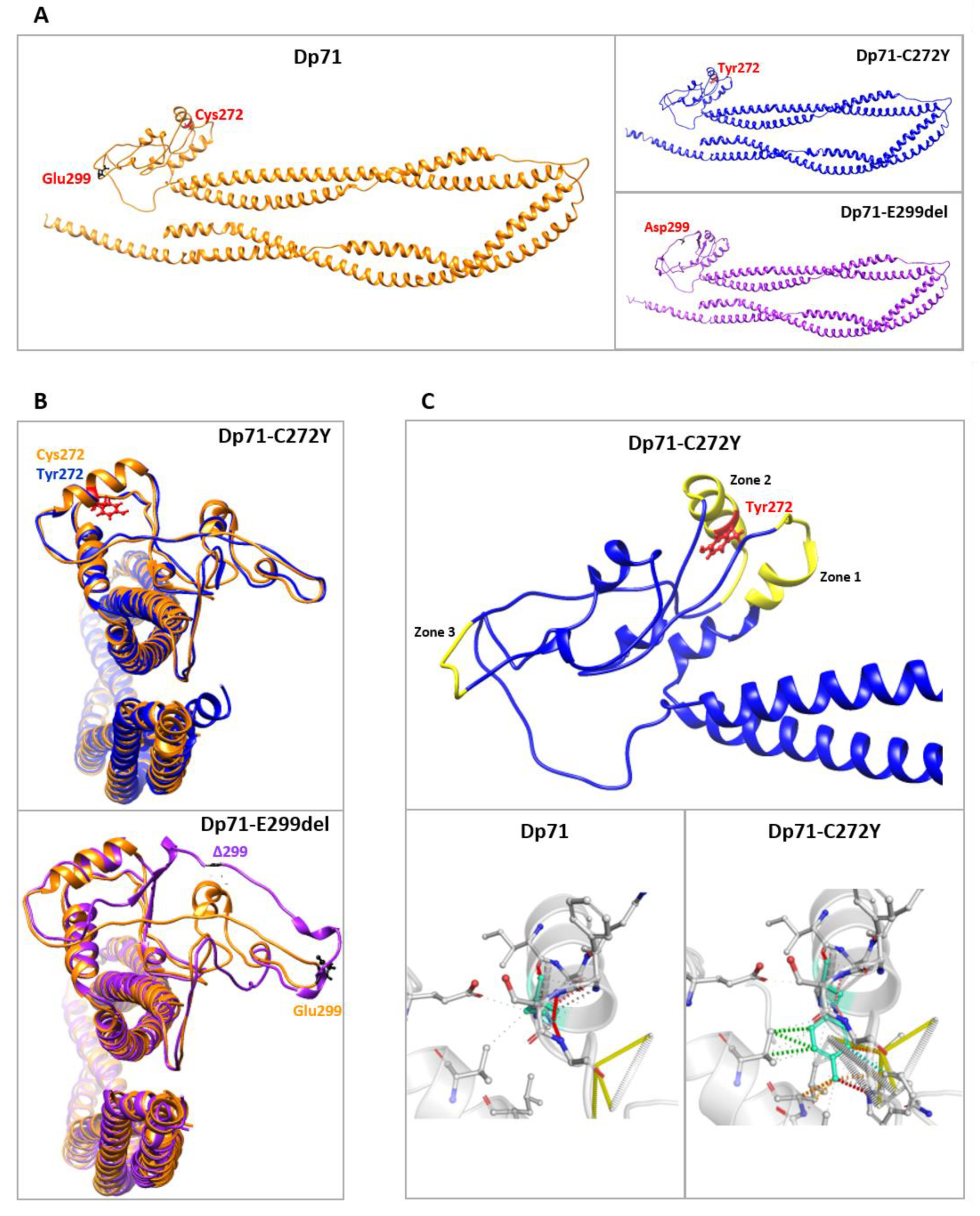 Ijms 23 11876 g002 Ijms 23 11876 g002