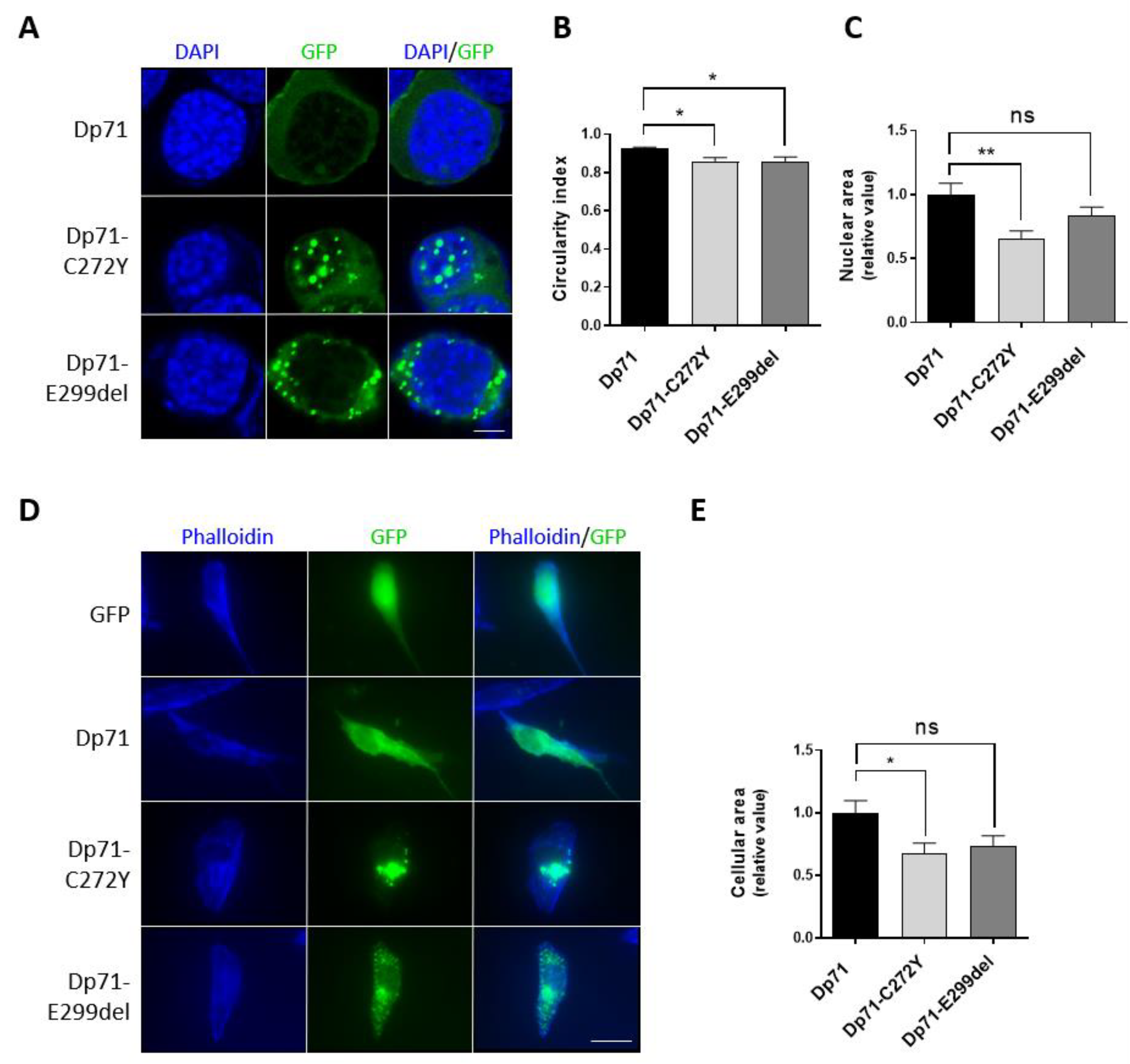 Ijms 23 11876 g003 Ijms 23 11876 g003