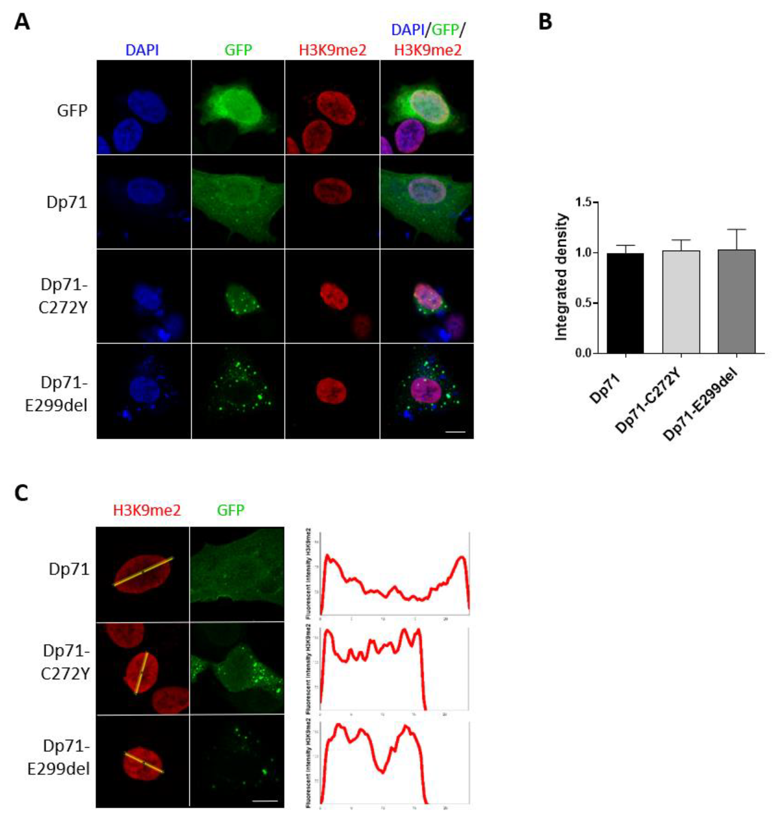 Ijms 23 11876 g006 Ijms 23 11876 g006