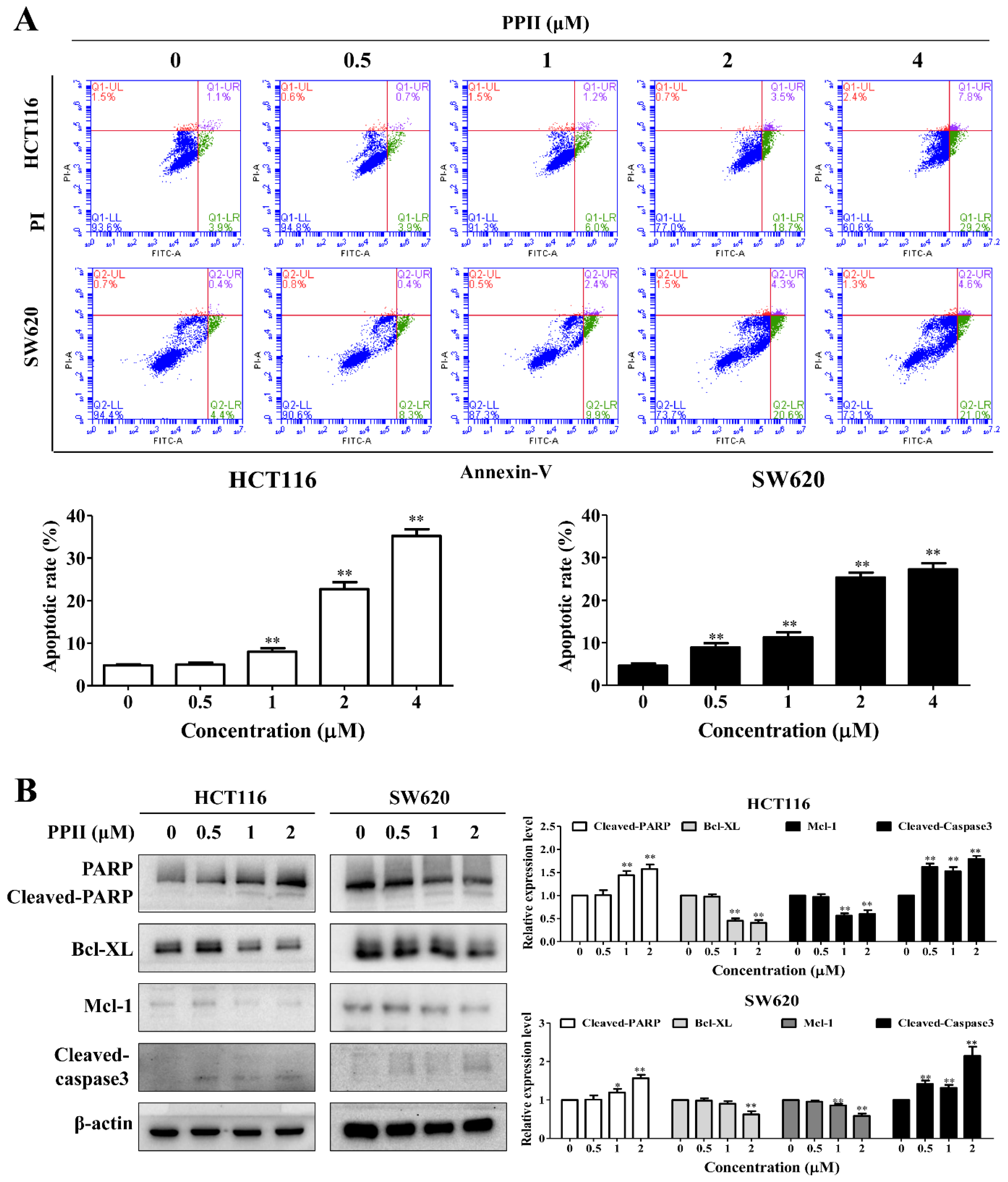 Ijms 23 11890 g003 Ijms 23 11890 g003