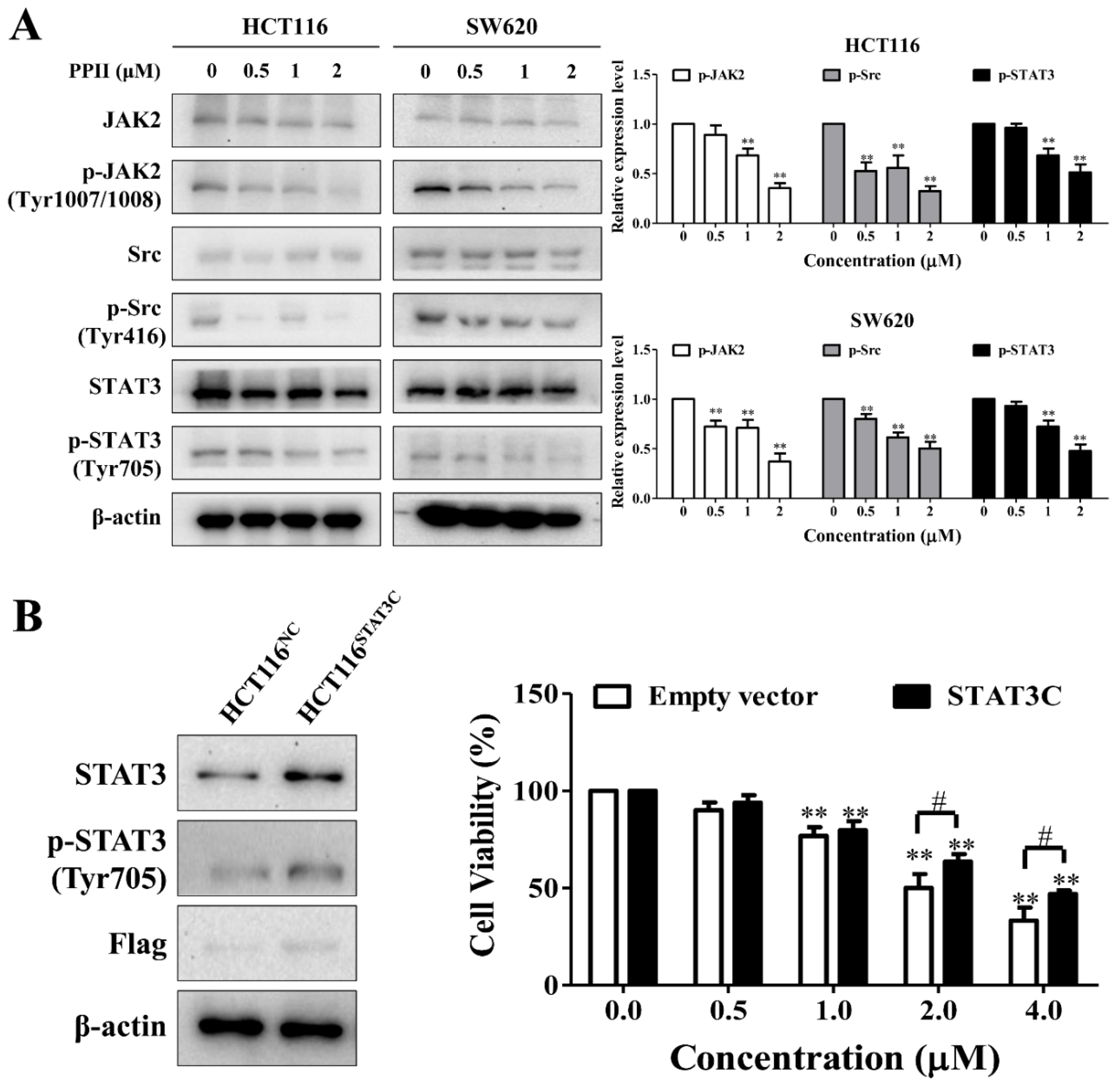 Ijms 23 11890 g006 Ijms 23 11890 g006