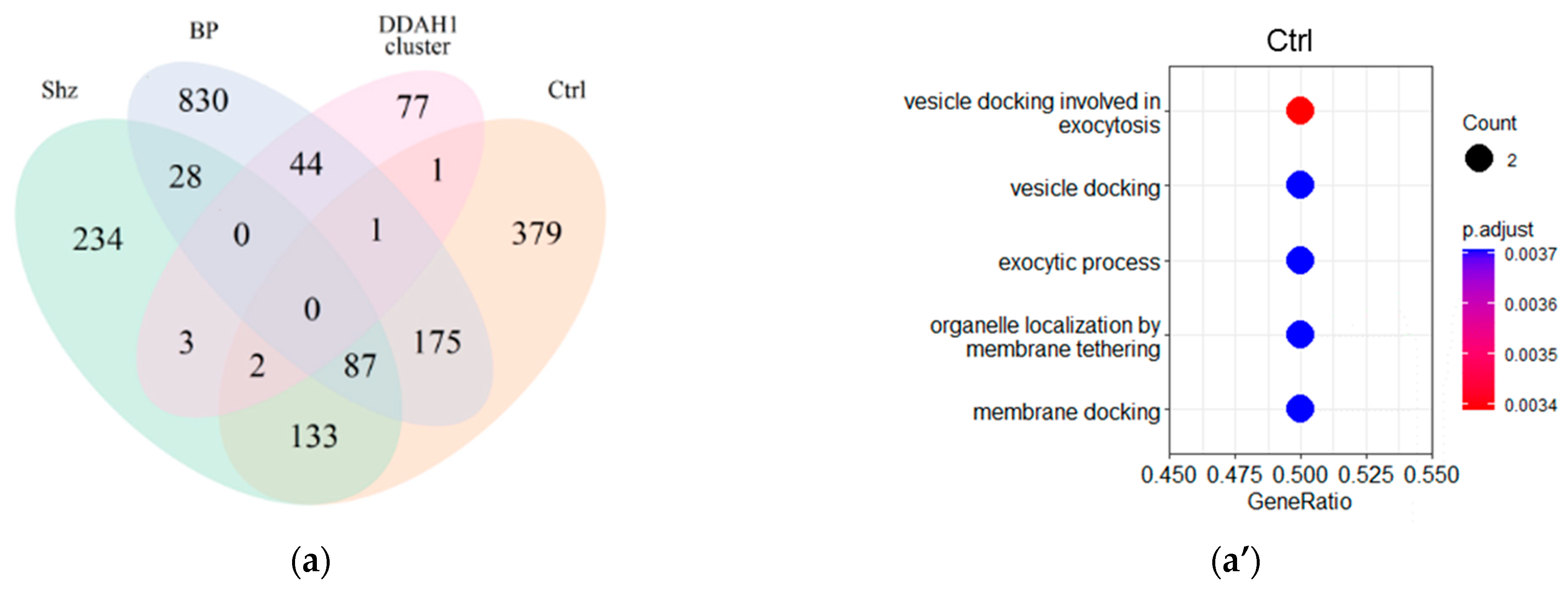 Ijms 23 11902 g002a Ijms 23 11902 g002a