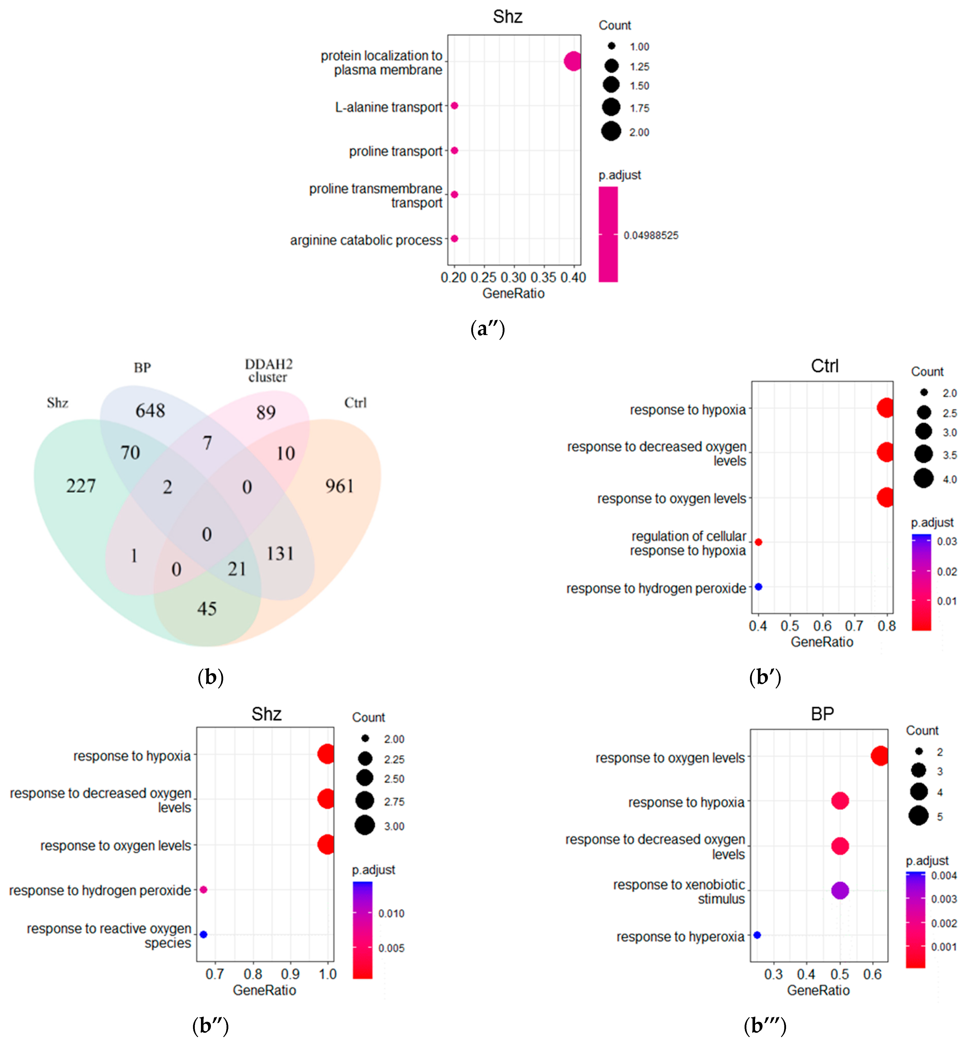 Ijms 23 11902 g002b Ijms 23 11902 g002b
