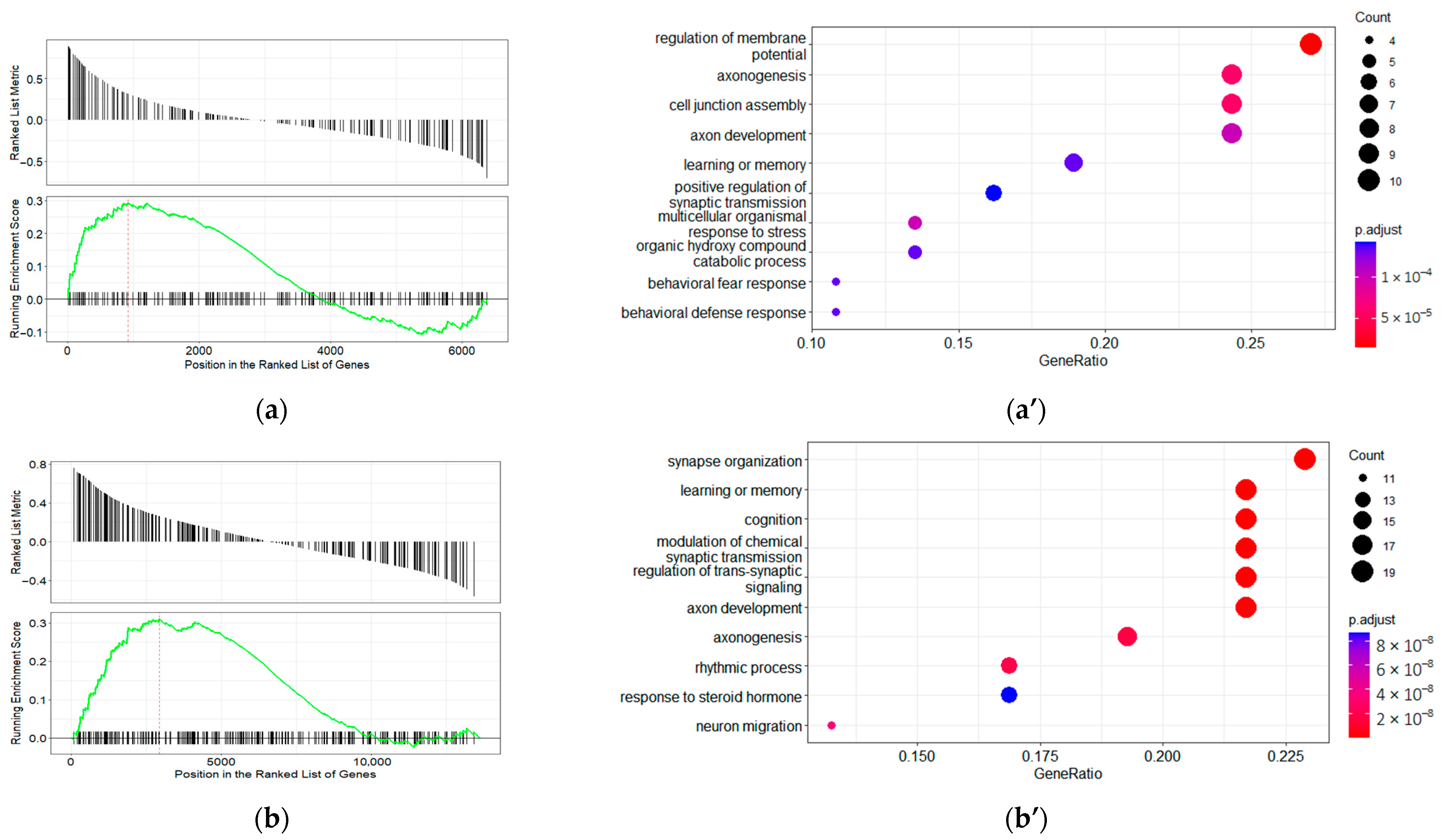 Ijms 23 11902 g003a Ijms 23 11902 g003a