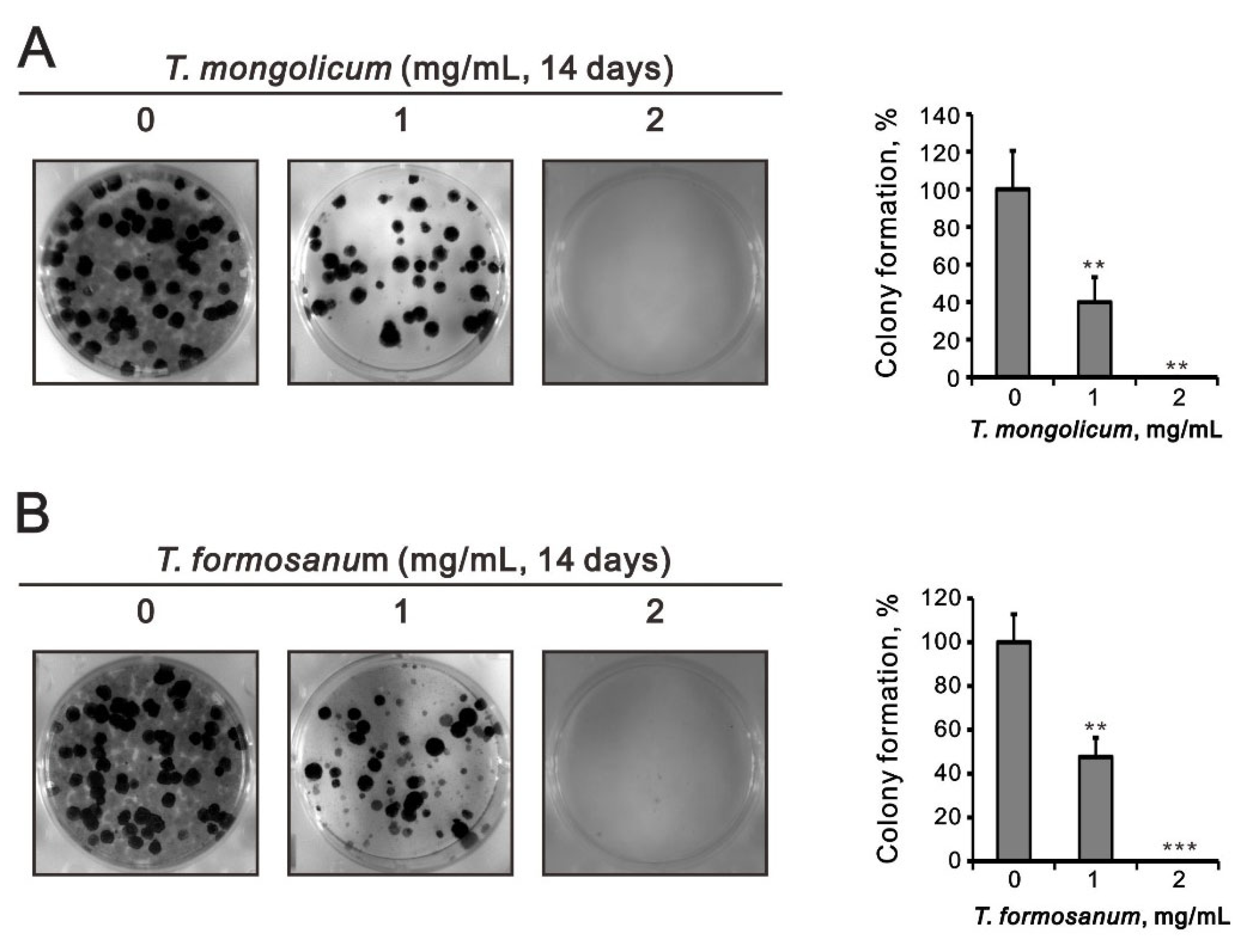 Ijms 23 11918 g004 Ijms 23 11918 g004