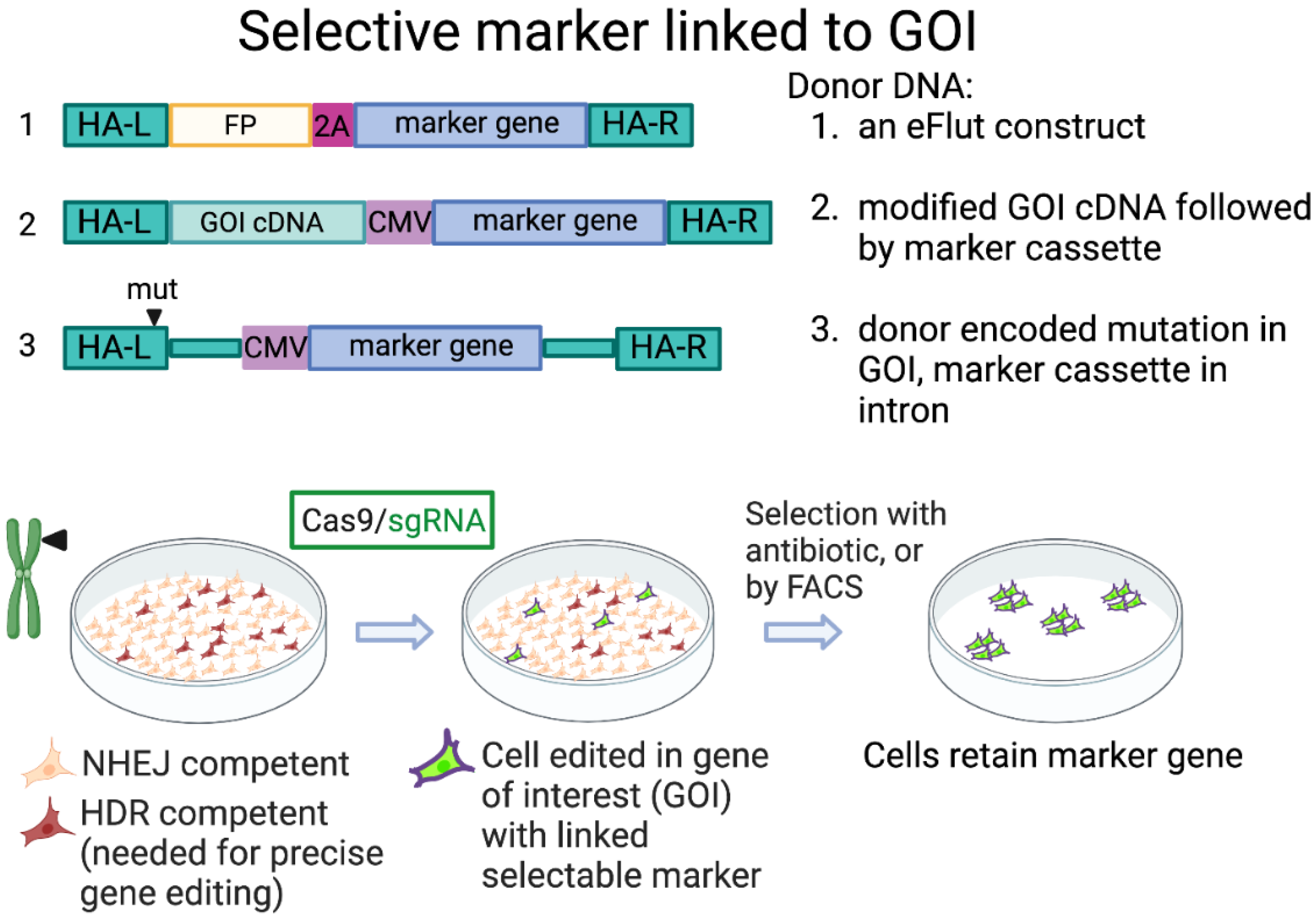 Ijms 23 11919 g002 Ijms 23 11919 g002