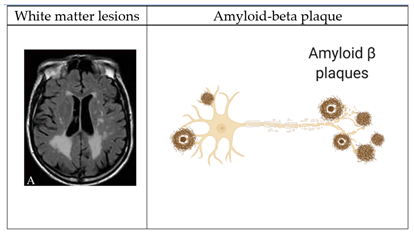 Ijms 23 11921 i001 Ijms 23 11921 i001