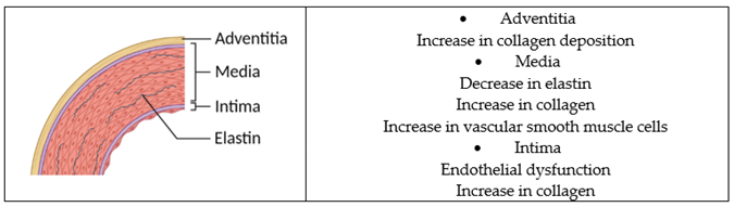 Ijms 23 11921 i002 Ijms 23 11921 i002