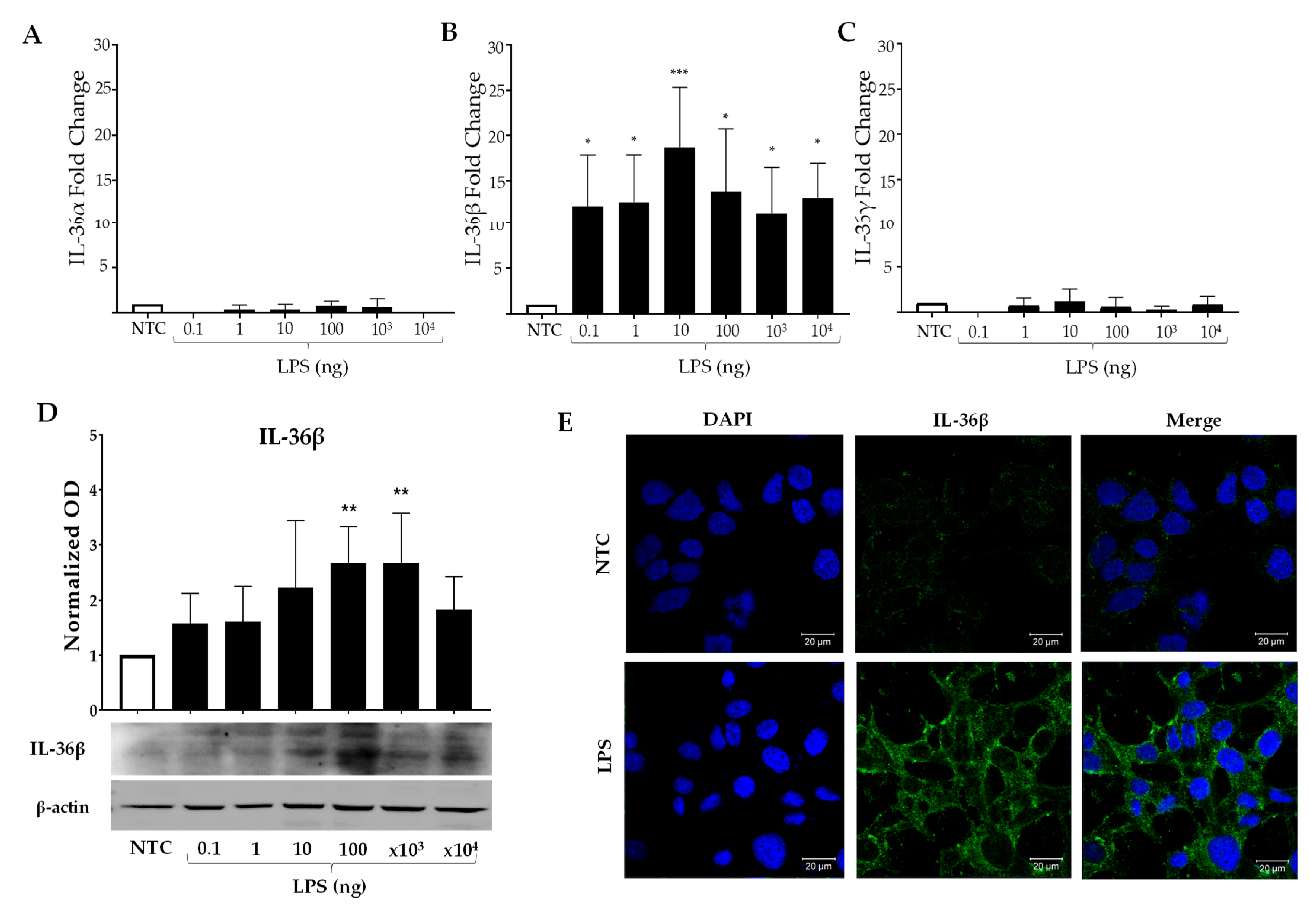 Ijms 23 11922 g002 Ijms 23 11922 g002