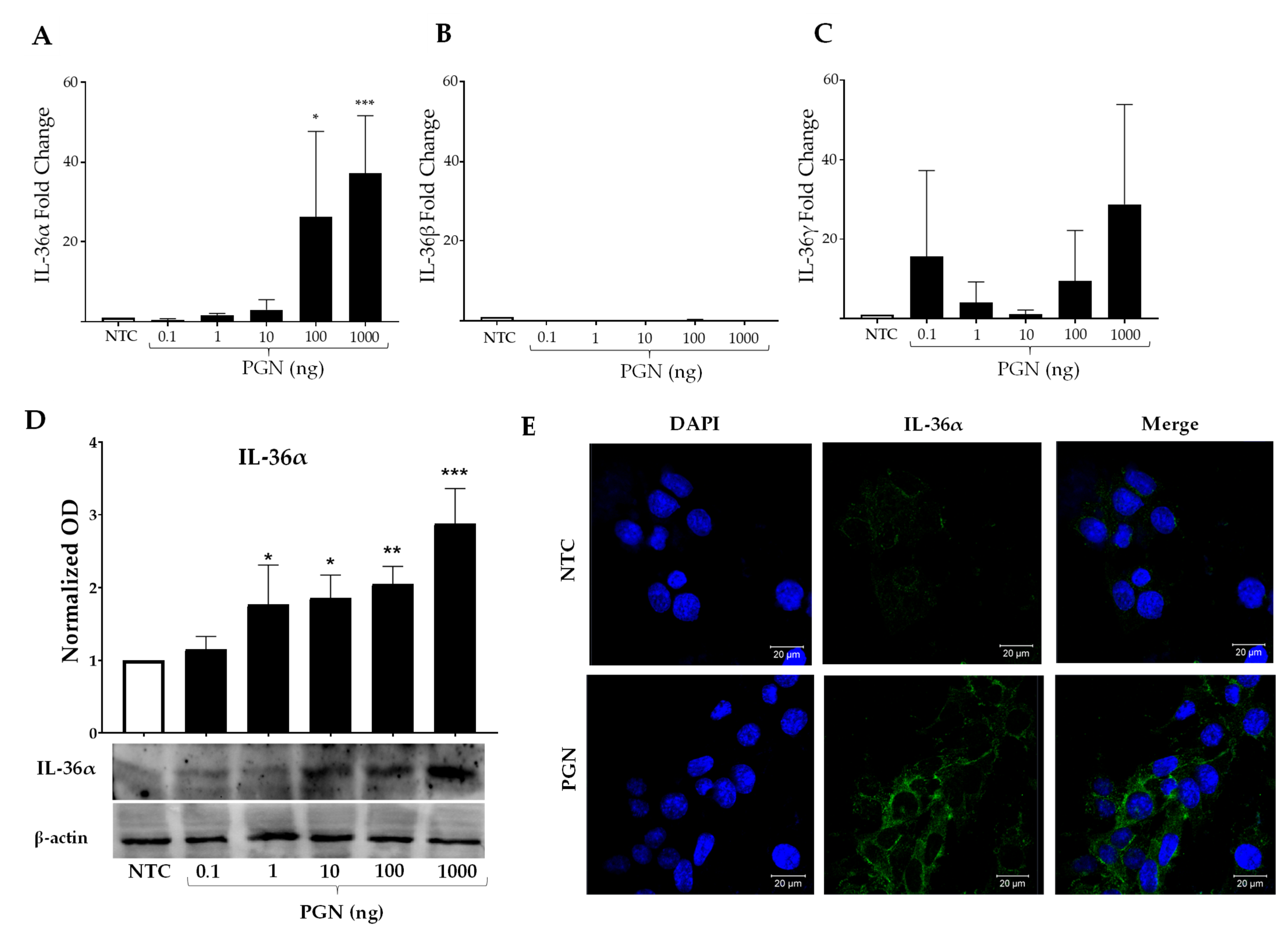 Ijms 23 11922 g003 Ijms 23 11922 g003