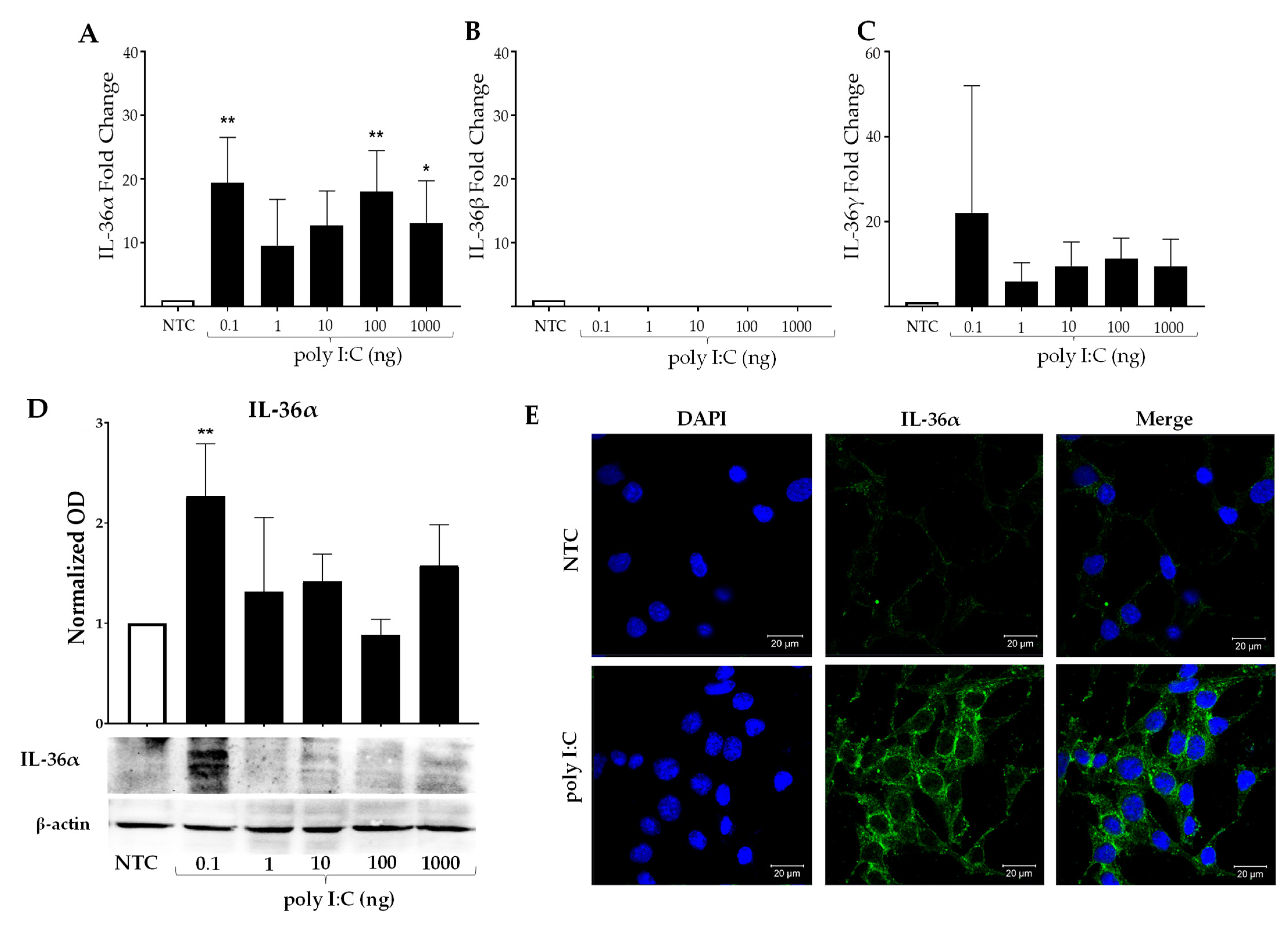 Ijms 23 11922 g004 Ijms 23 11922 g004