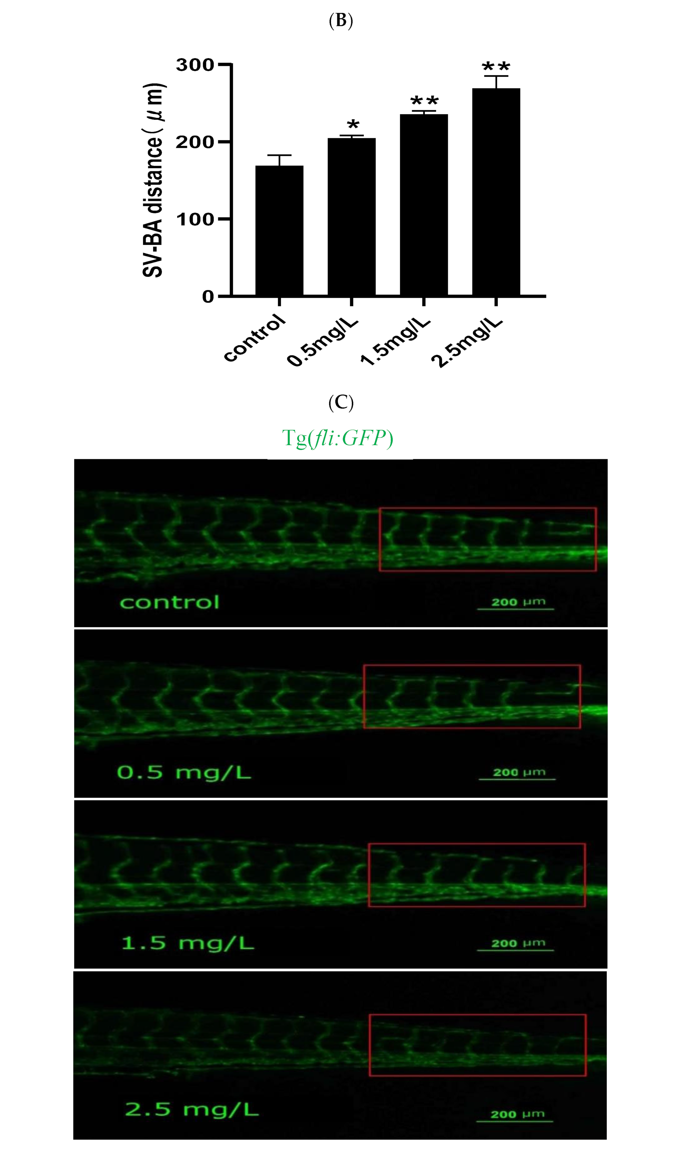 Ijms 23 11932 g002b Ijms 23 11932 g002b