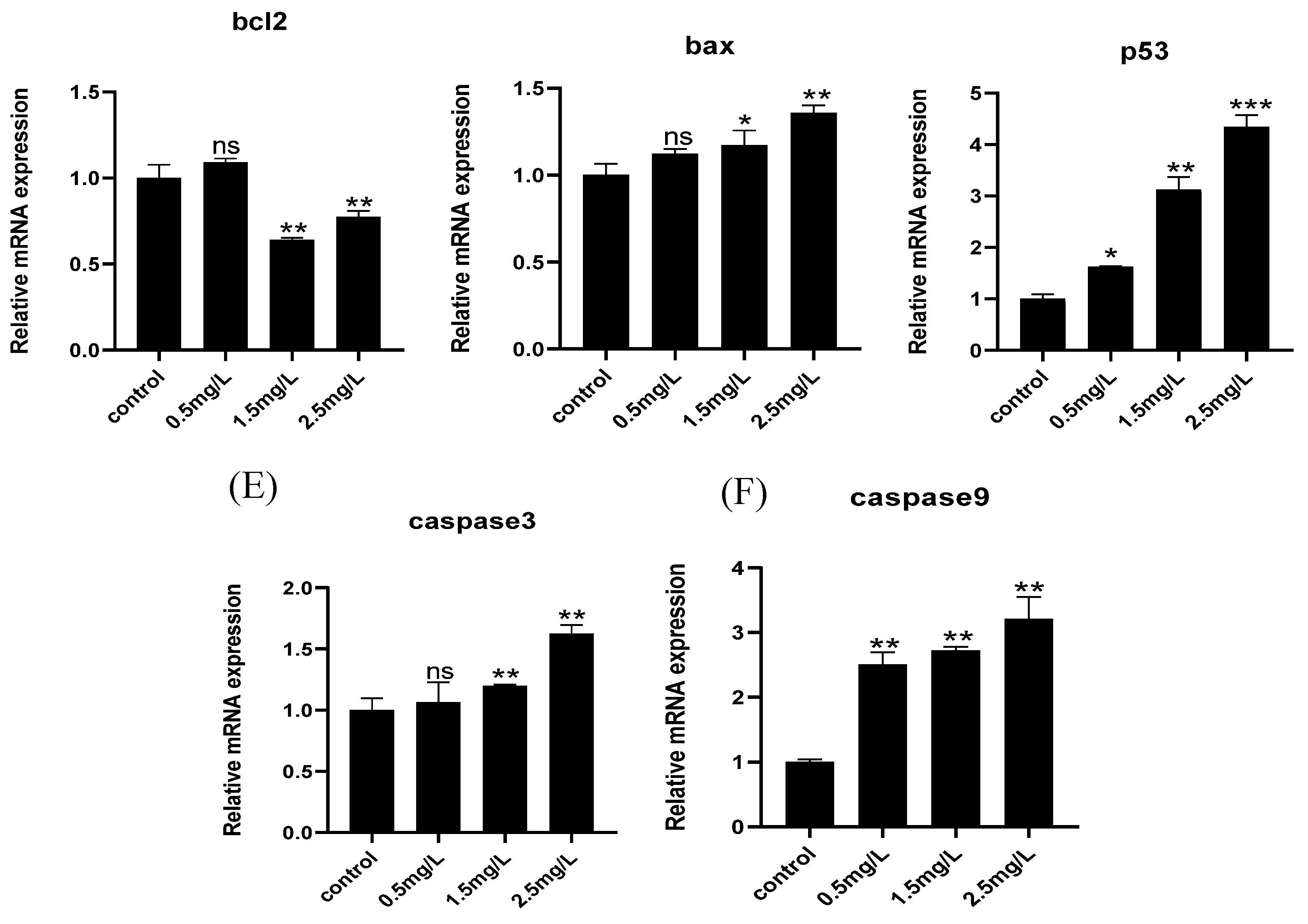 Ijms 23 11932 g005b Ijms 23 11932 g005b