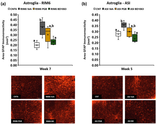 Long-Lasting Nociplastic Pain Modulation by Repeated