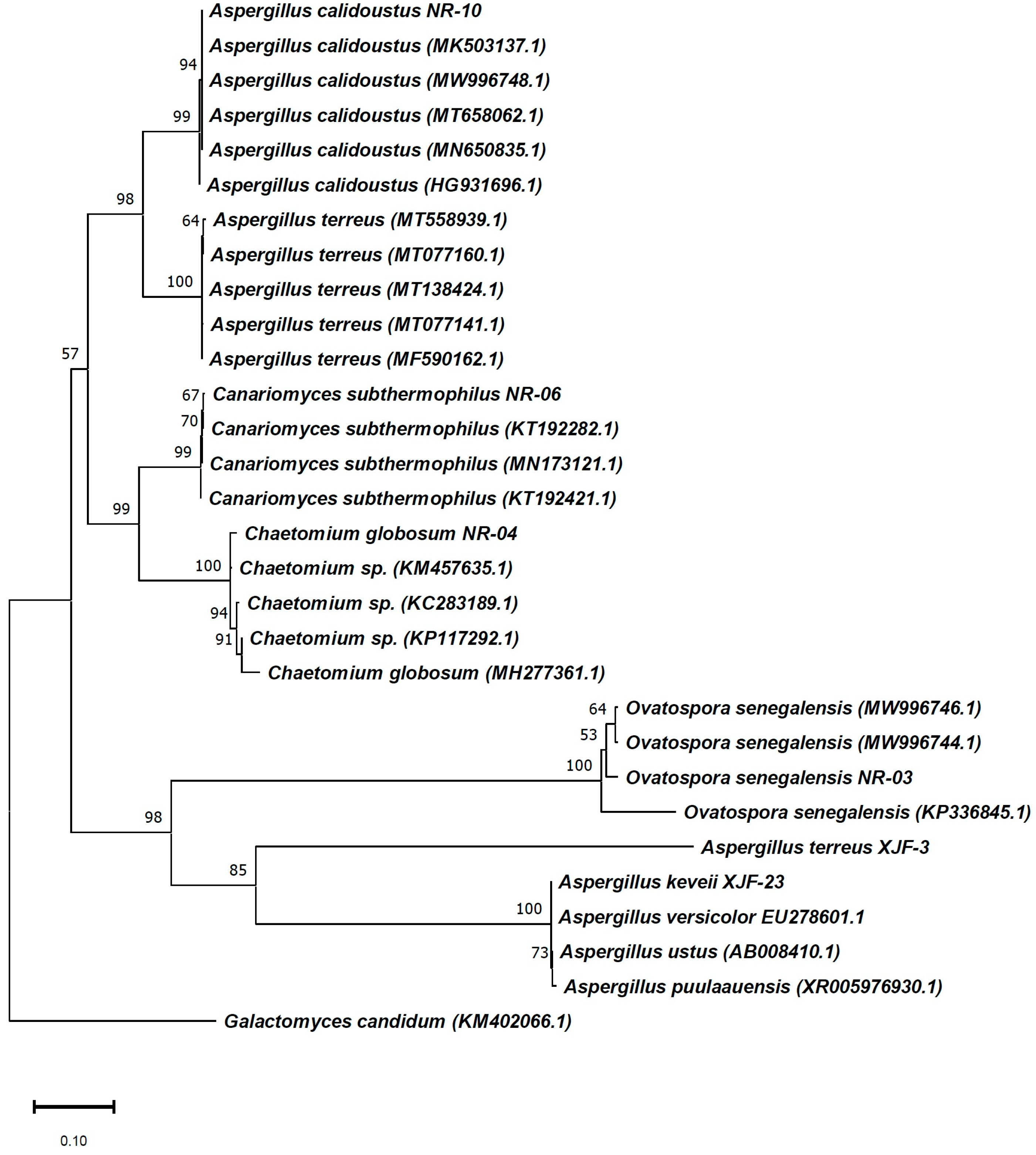 Ijms 23 11935 g002 Ijms 23 11935 g002