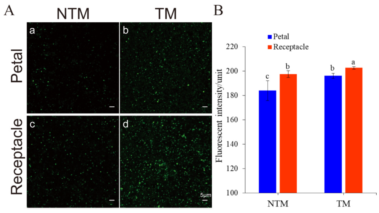 Ijms 23 11950 g003 Ijms 23 11950 g003