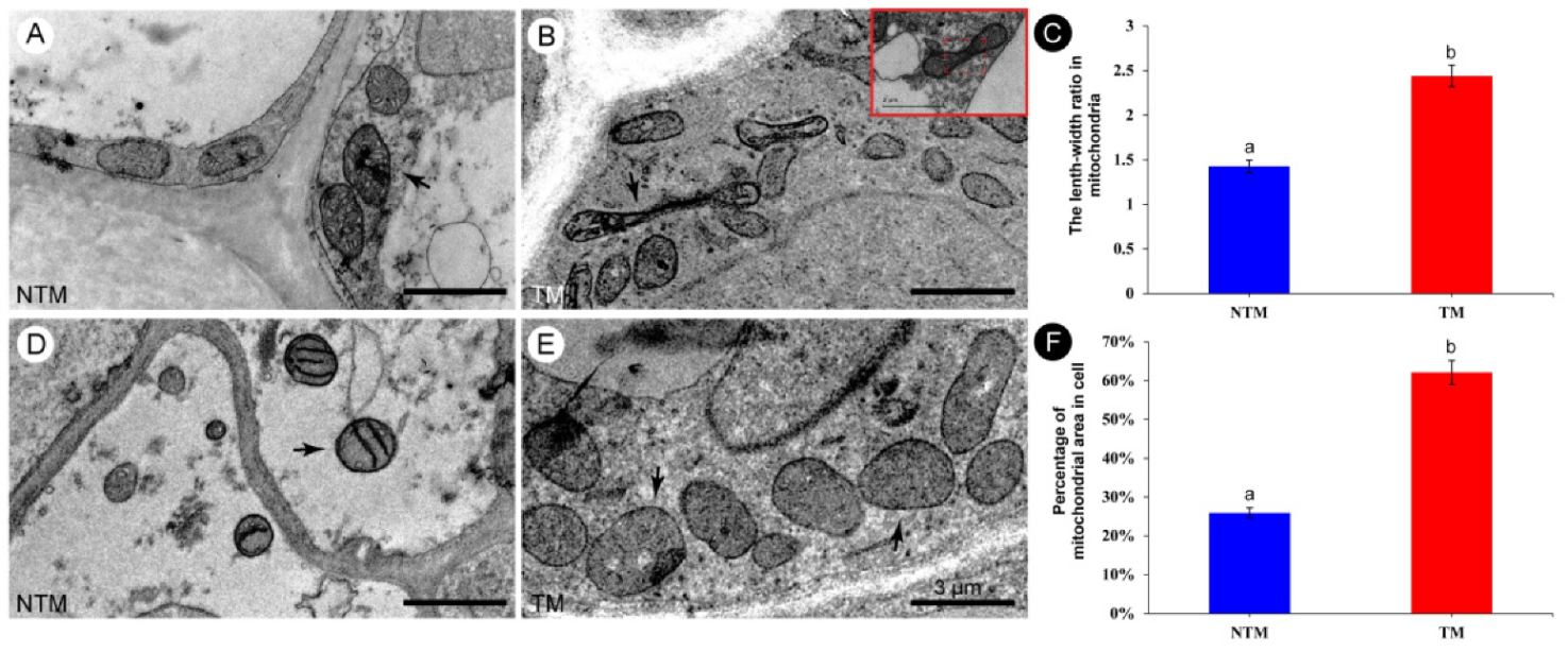 Ijms 23 11950 g004 Ijms 23 11950 g004