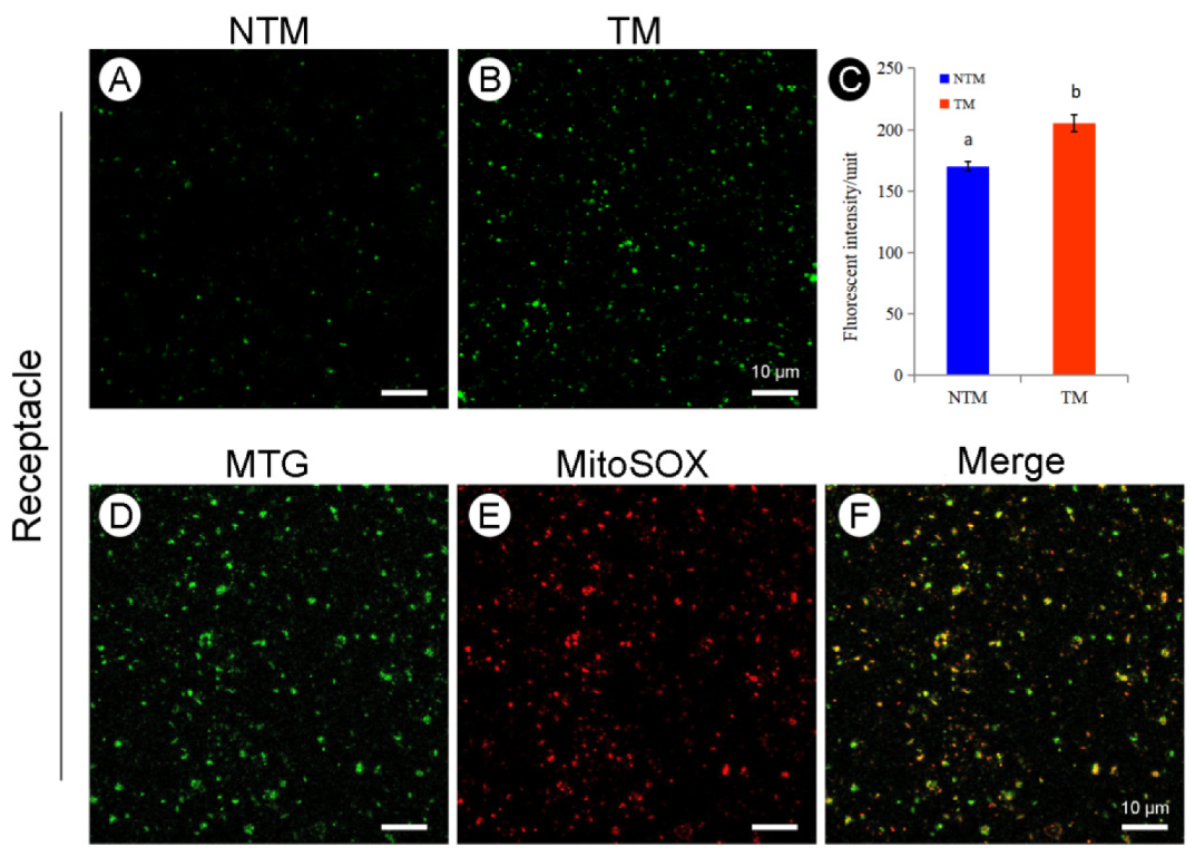 Ijms 23 11950 g005 Ijms 23 11950 g005