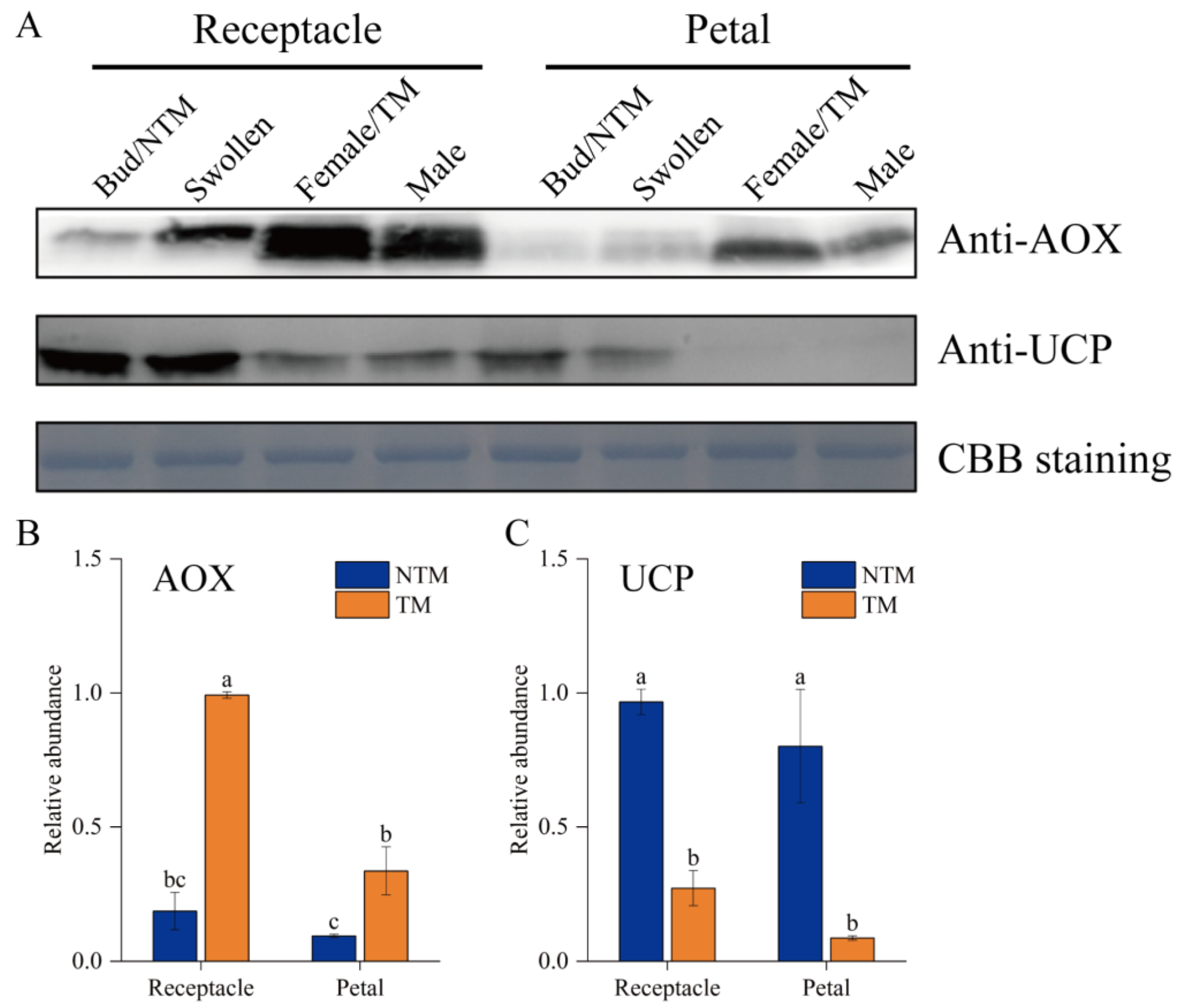 Ijms 23 11950 g006 Ijms 23 11950 g006