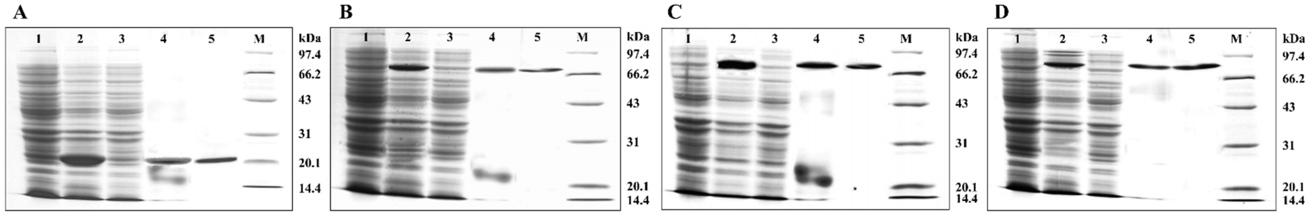 Ijms 23 11958 g004 Ijms 23 11958 g004