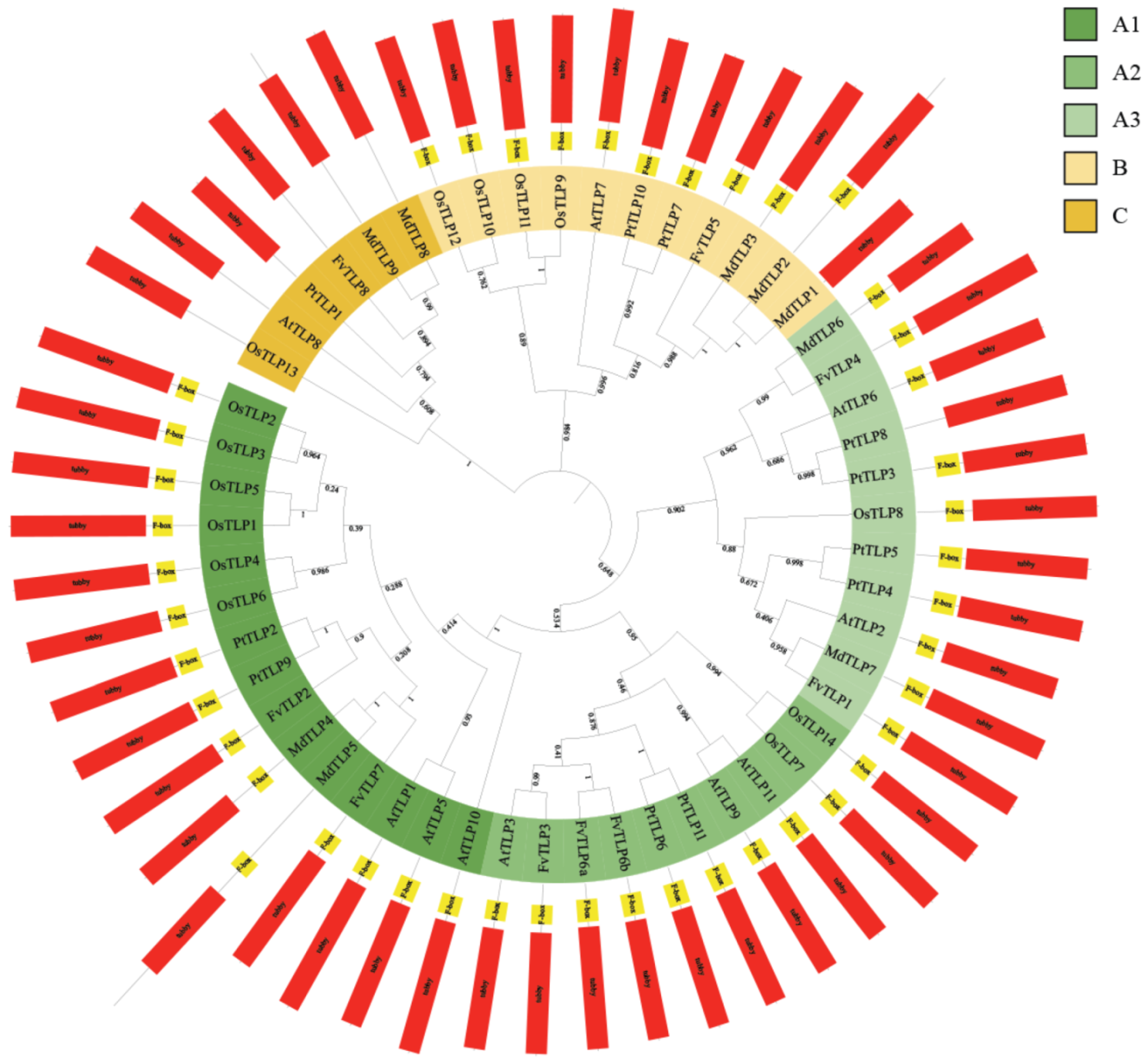 Ijms 23 11961 g001 Ijms 23 11961 g001