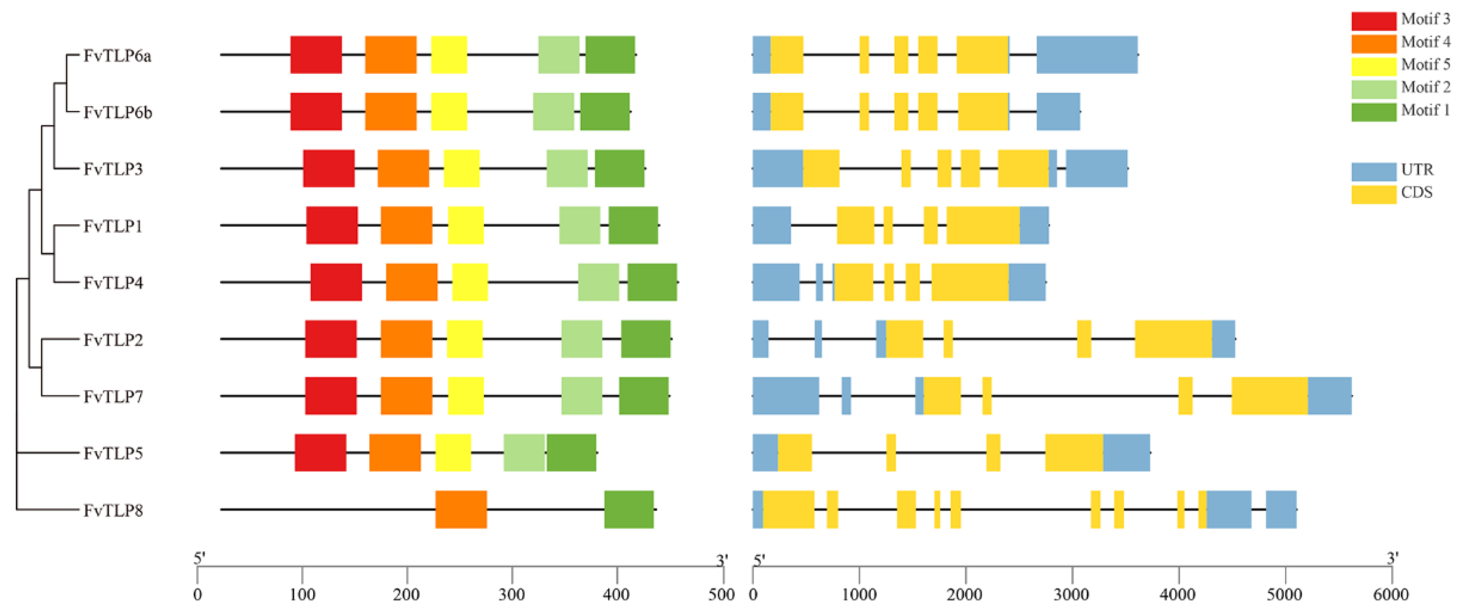 Ijms 23 11961 g002 Ijms 23 11961 g002